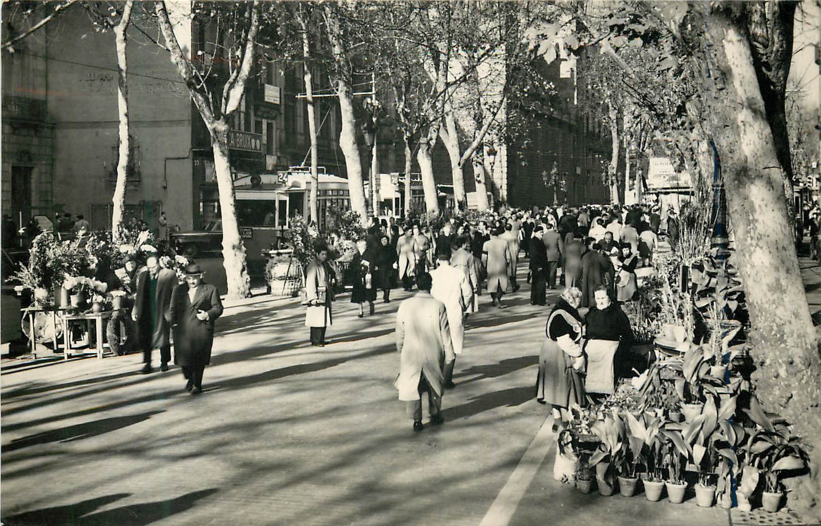 CPM Barcelona Serie Rambla de las Flores La Rambla des Fleurs Blumen Rambla Foto J Cebollero  Distribuidor Lorjusa Barce