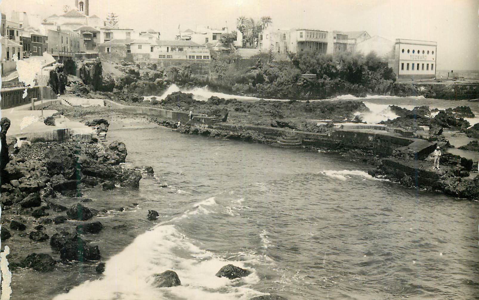 CPM Puerto de la Cruz Tenerife Vista parcial Vue Partielle Ediciones Arribas Zaragoza Prohibida la reproduccion