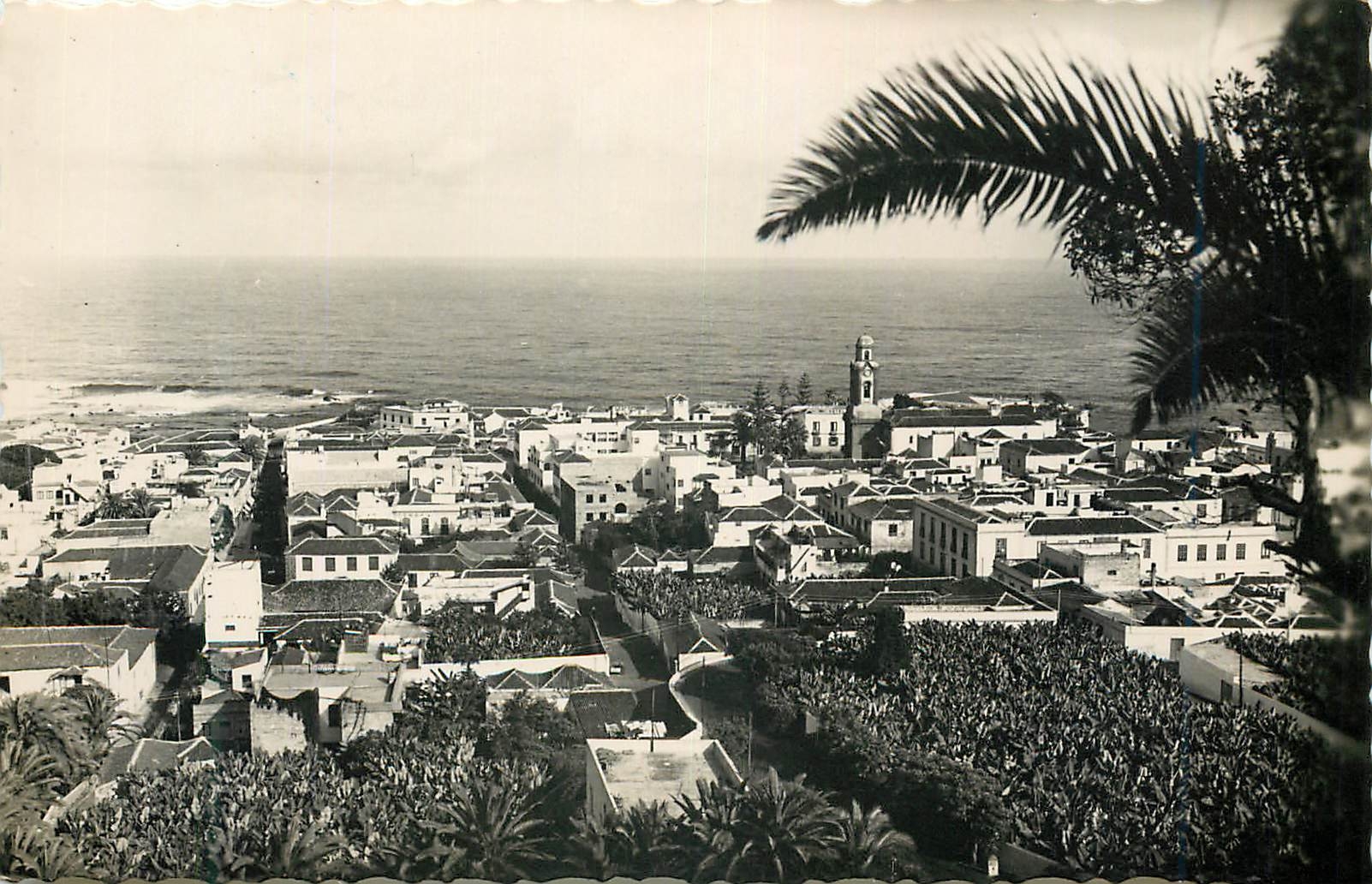 CPM Puerto de la Cruz Tenerife Vista Parcial Vue Partielle Ediciones Arribas Zaragoza Prohibida la reproduccion
