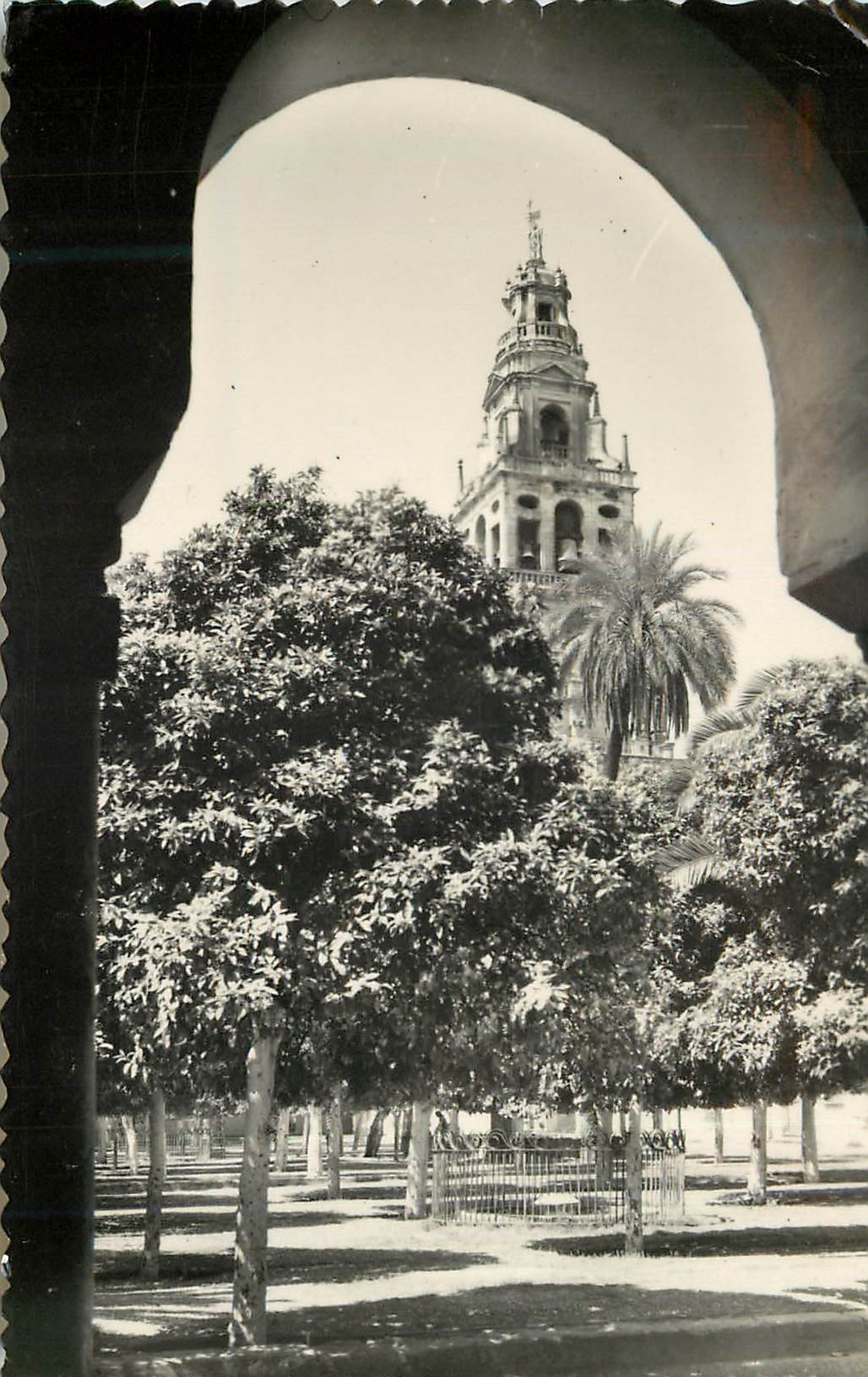 Cordoba — Patio de los Naranjos — Éditions Postales Sicilia-Zaragoza