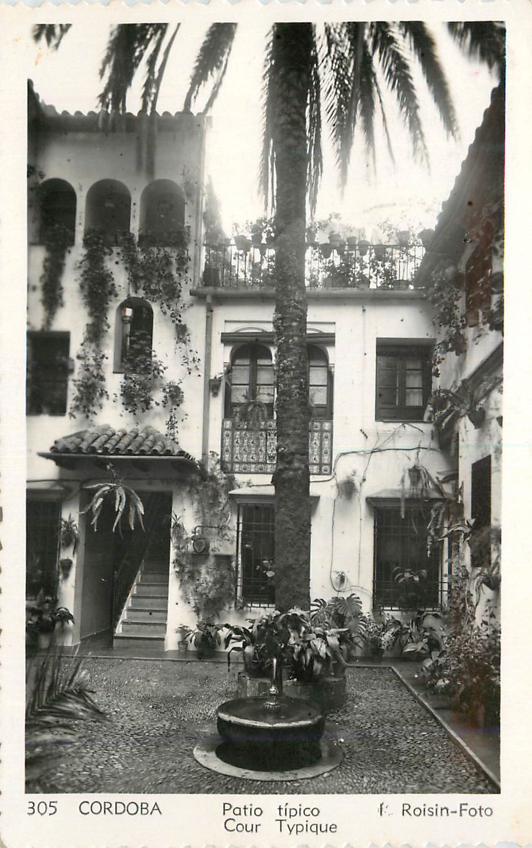 Cordoba — Patio typique — F. Roisin-Foto n°305
