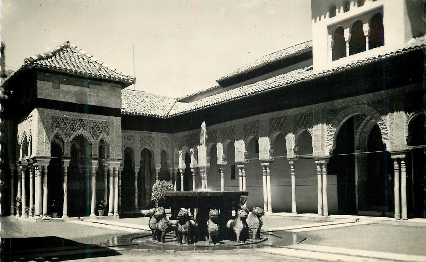 CPM Granada Alhambra Patio de los Leones Tarjeta Postal Ediciones Fotograficas Hijos de Gallegos Granada