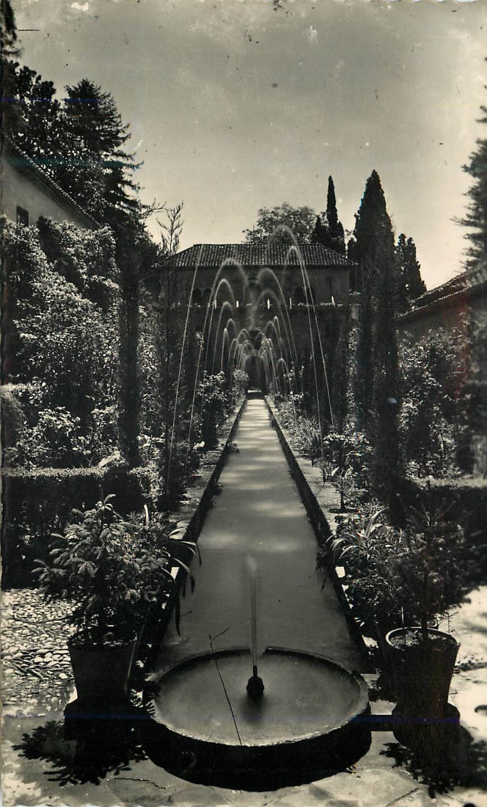 CPM Granada Jardines del Generelife Terjeta Postal Ediciones Fotograficas Hijos de Gallegos Granada