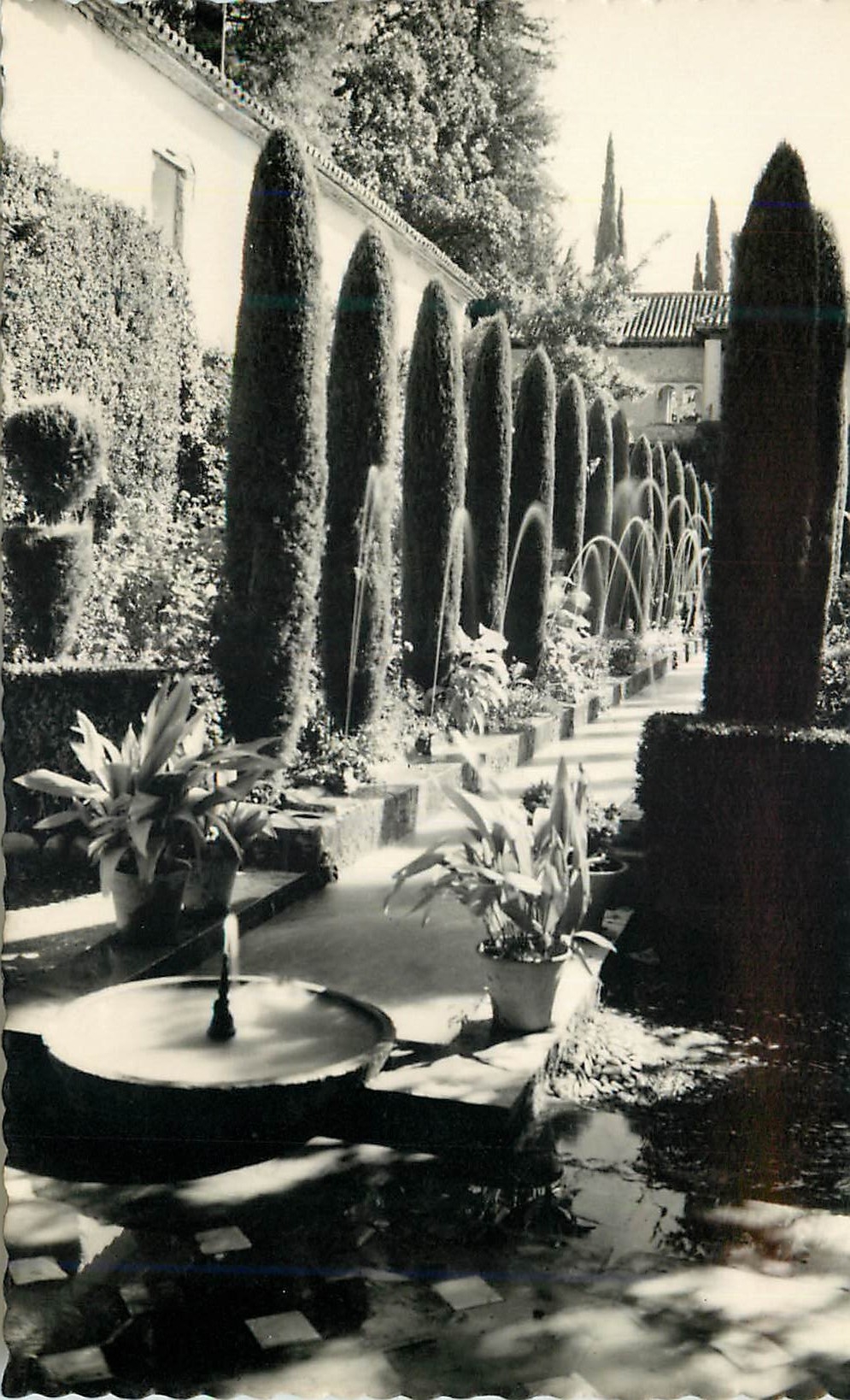 CPM Granada Jardines del Generelife Tarjeta Postal Ediciones Fotograficas Hijos de Gallegos Granada