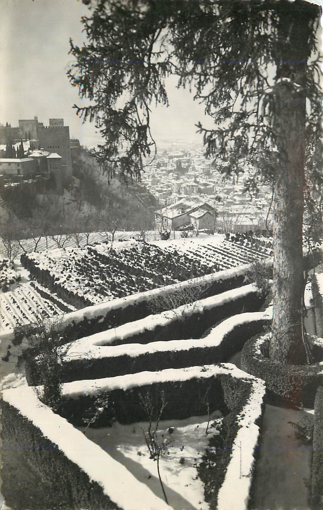 Vue enneigée du jardin de Generalife à Grenade — Alhambra en arrière-plan — Éditions Fotográficas Hijos de Gallegos