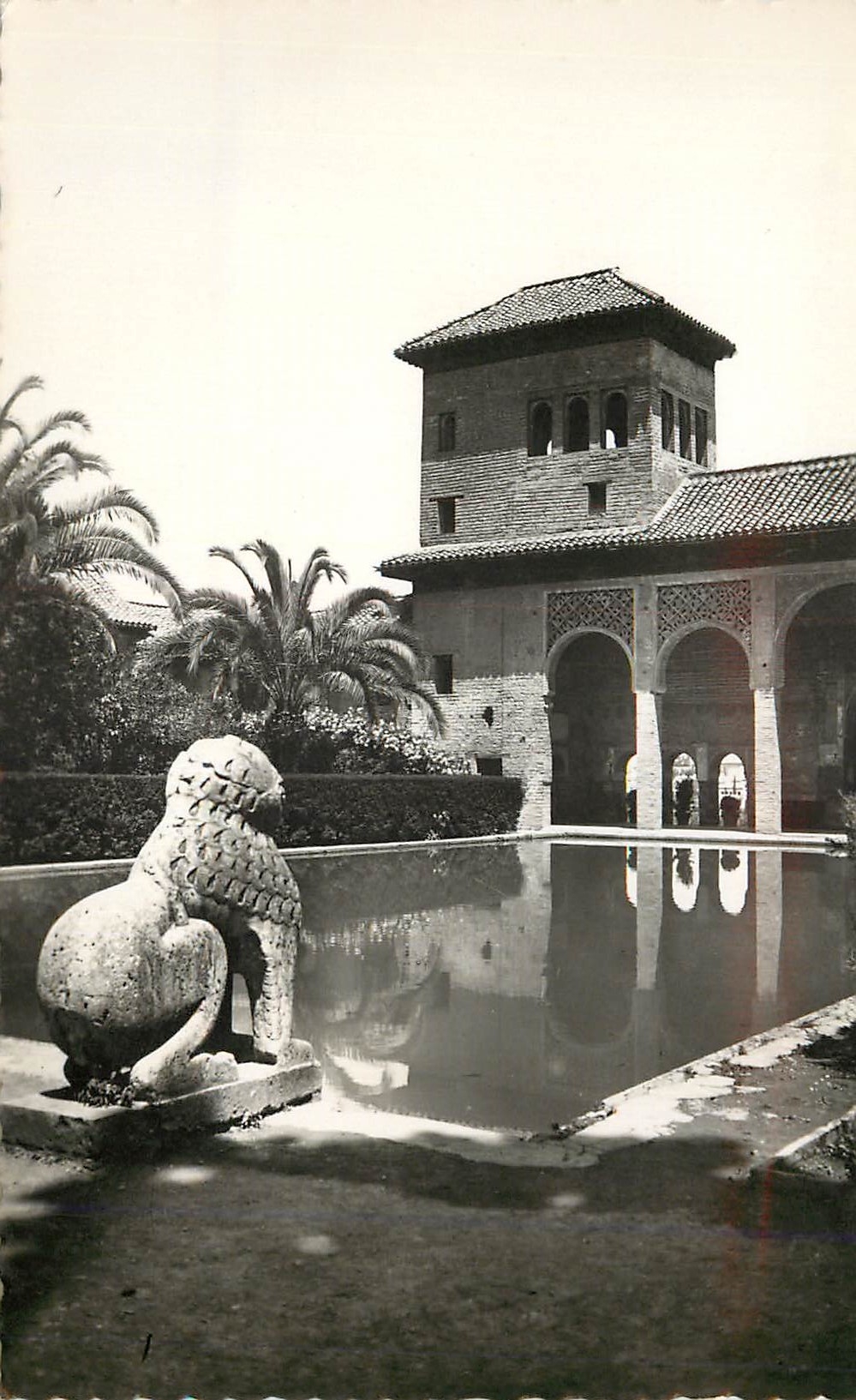 CPM Granada Alhambra Jardines del Partel Tarjeta Postal Ediciones Fotograficas Hijos de Gallegos Granada