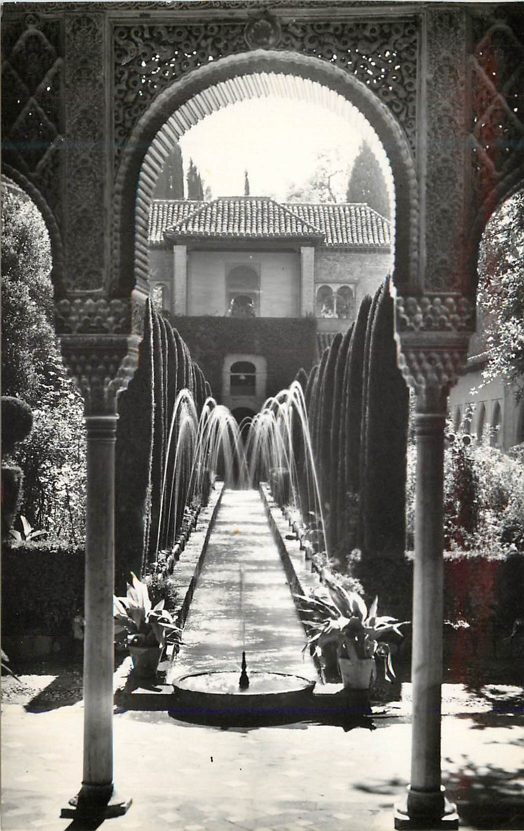 CPM Granada Generelife Jardines Tarjeta Postal