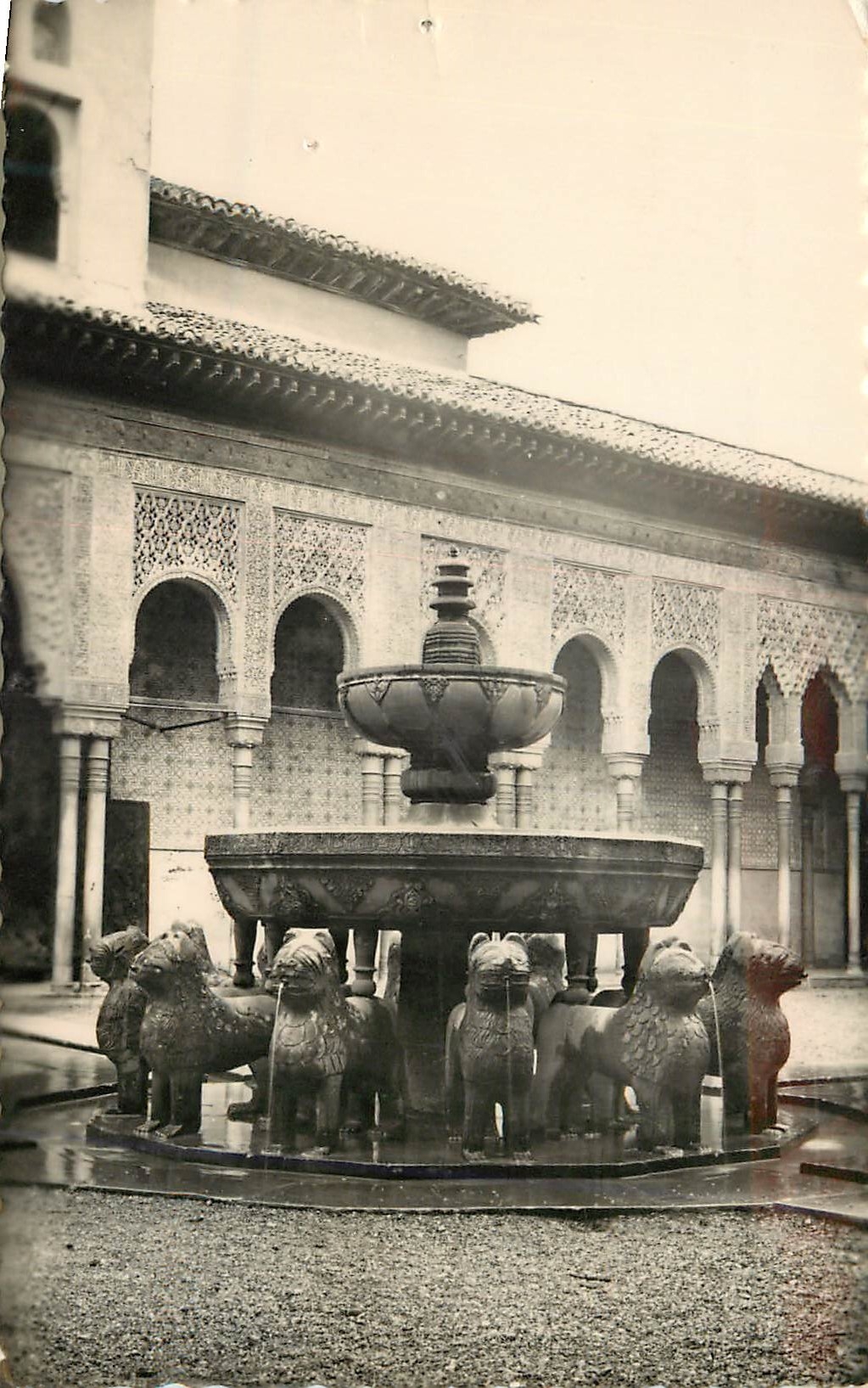CPM Granada Alhambra Patio de los Leones Terjeta Postal Ediciones Fotograficas Hijos de Gallegos Granada Tarjeta Postal