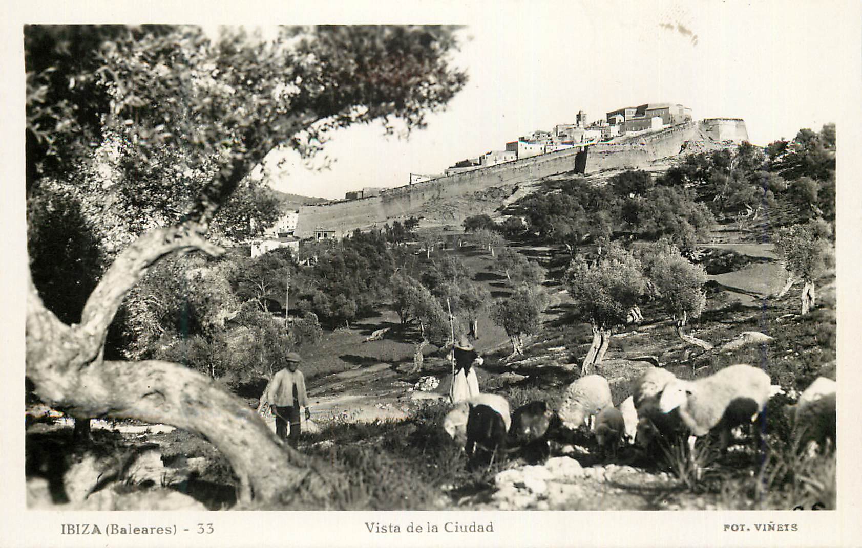 Ibiza (Baleares) - 33 — Vue de la ville — Pot. Viñets