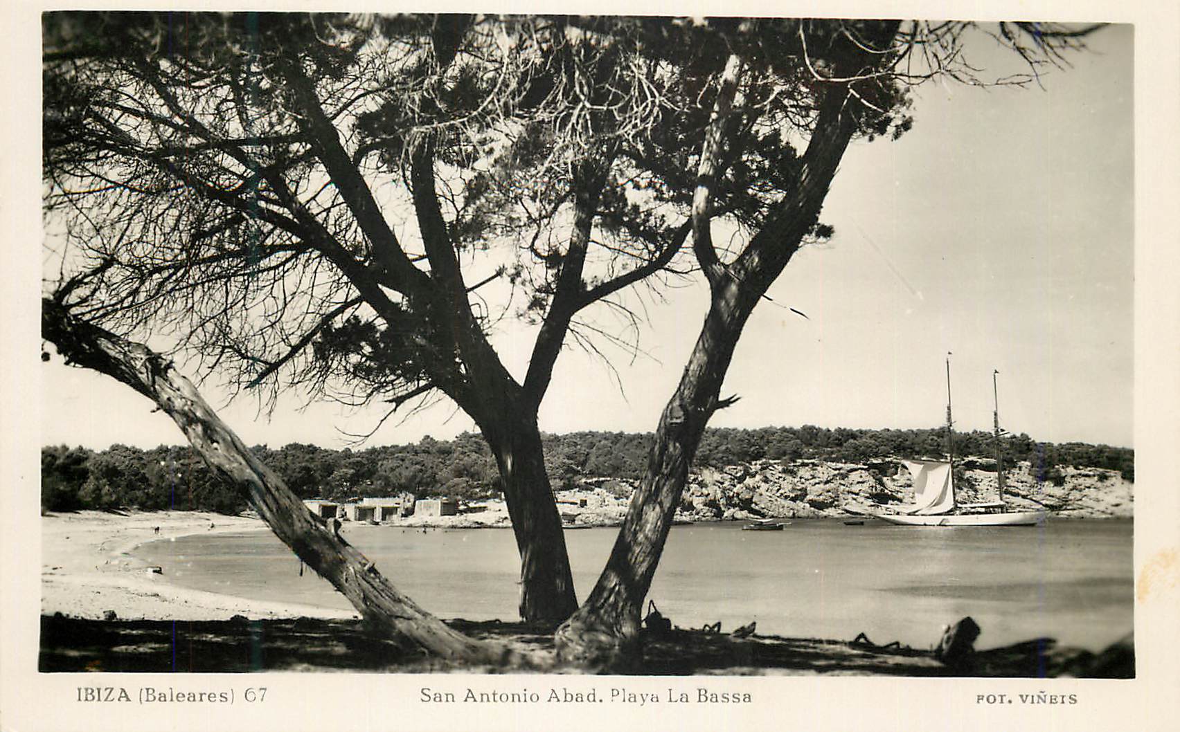 CPM Ibiza Baleares San Antonio Abad La Playa Bassa Fot Vinets