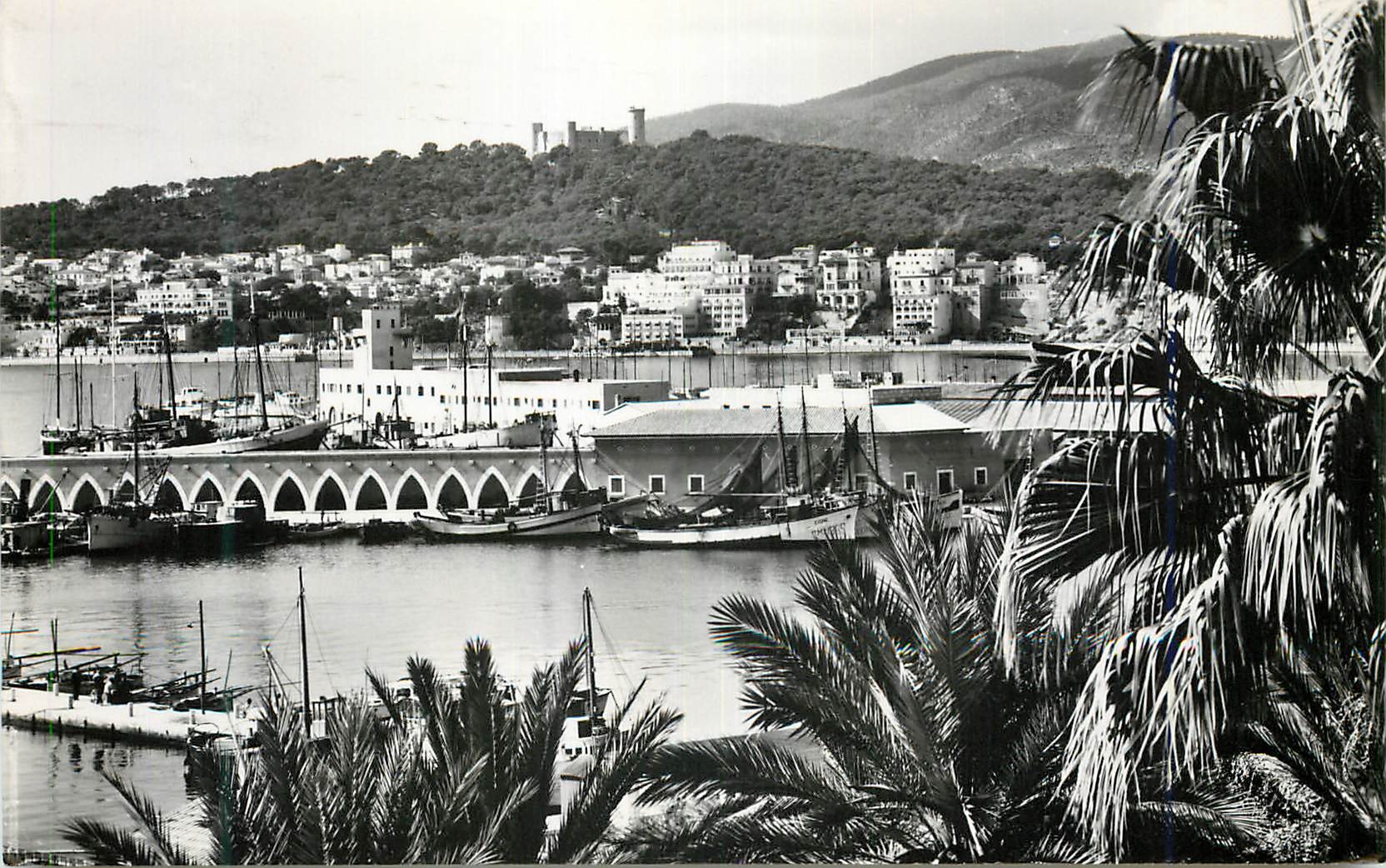 CPA Mallorca Palma Vista parcial del Puerto desde La Lonja Foto Casa Planas Palma Reproduccion la prohibida