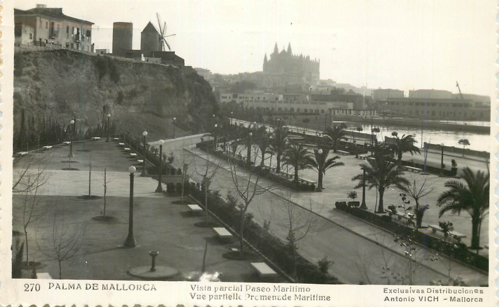 CPA Palma de Mallorca Vista parcial Paseo Maritimo Vue partielle Promenade Maritime Exclusivas Distributiones CPM Vich M