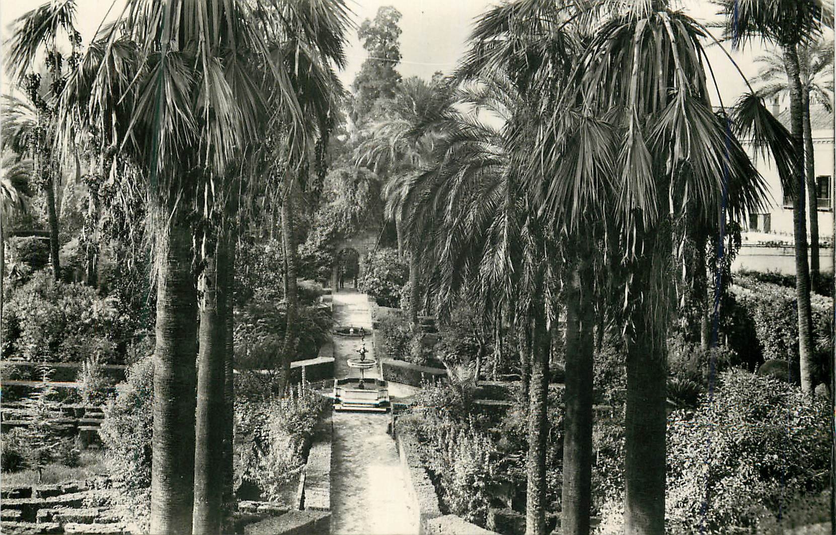 CPA Sevilla Reales Alcazares Jardines Alcazar Royal Jardins Heliotipia Artistica Espanola Madrid