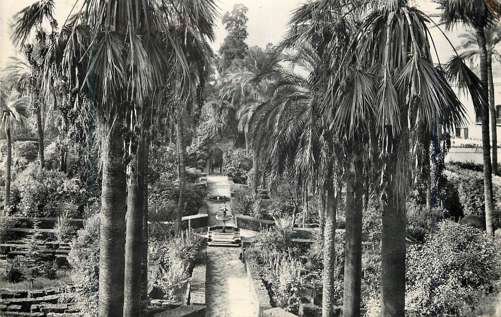 CPM Sevilla Reales Alcazares Jardines Alcazar Royal Jardins Heliotipia Artistica Espanola Madrid Deposito legal