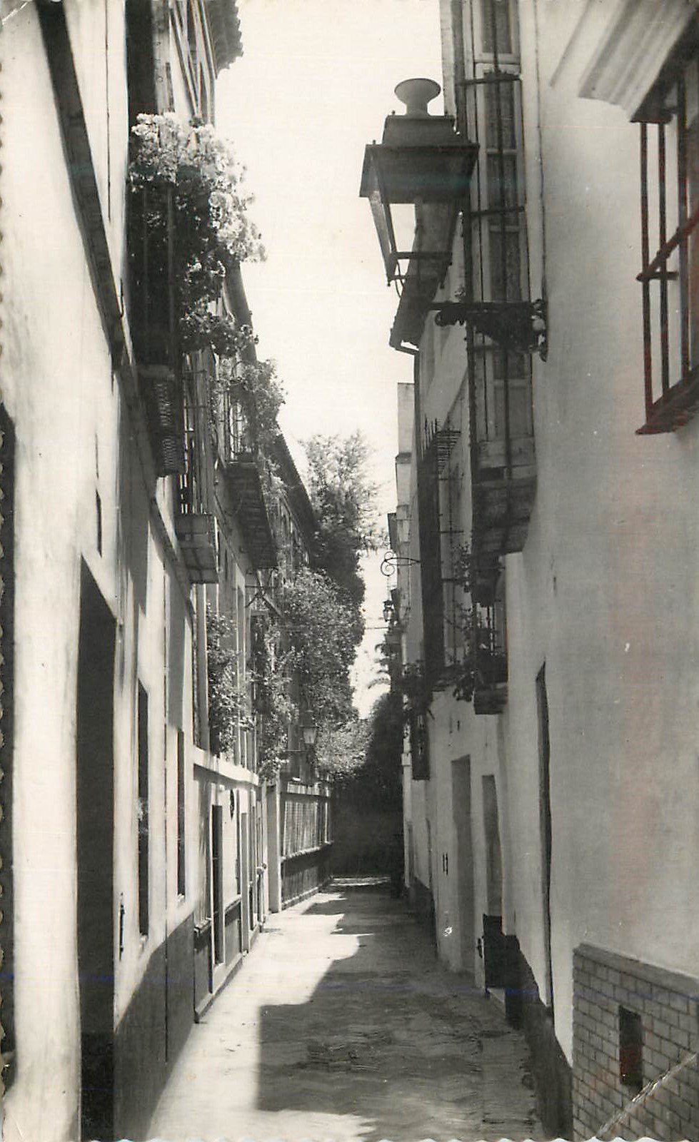 CPM Sevilla Barrio de Santa Cruz Calle de la Pimienta Seville Quartier de la Sainte Croix Rue du Poivre Ediciones Garcia