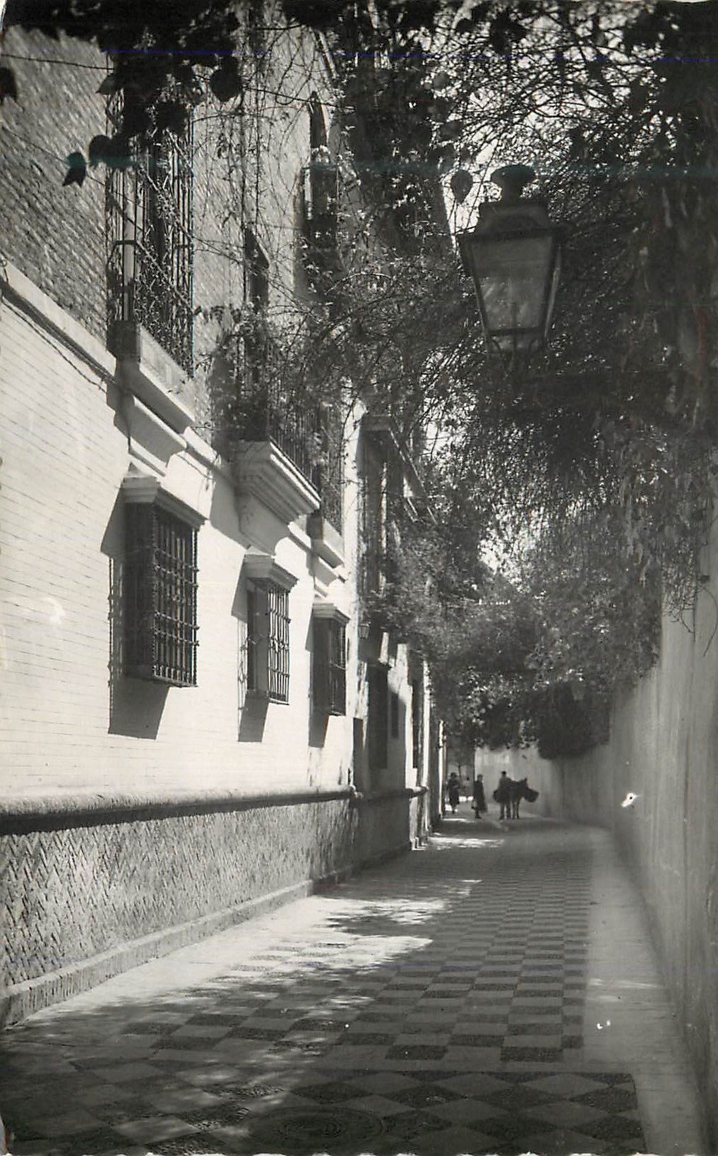 CPM Sevilla Barrio de Santa Cruz Callejon del Agua Seville Quartier de la Sunte Croix Ruelle le l Eau Ediciones Garcia G