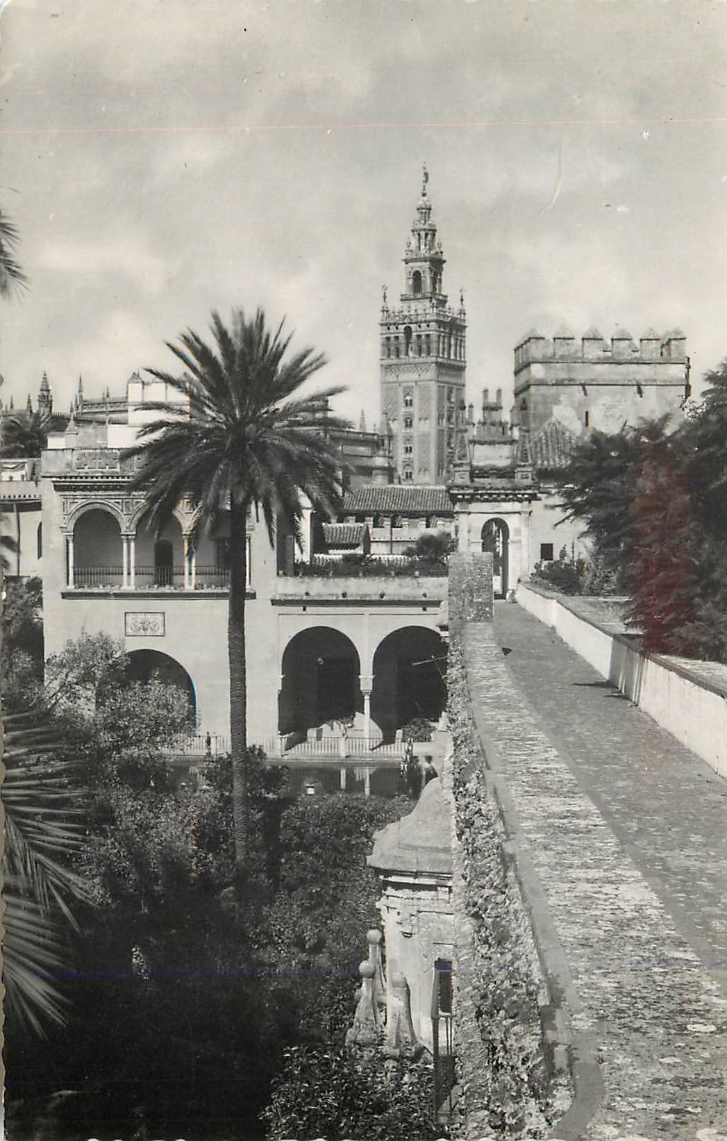 CPM Sevilla La Giralda desde los Reales Alcazares Heliotipia Artistica Espanola Madrid