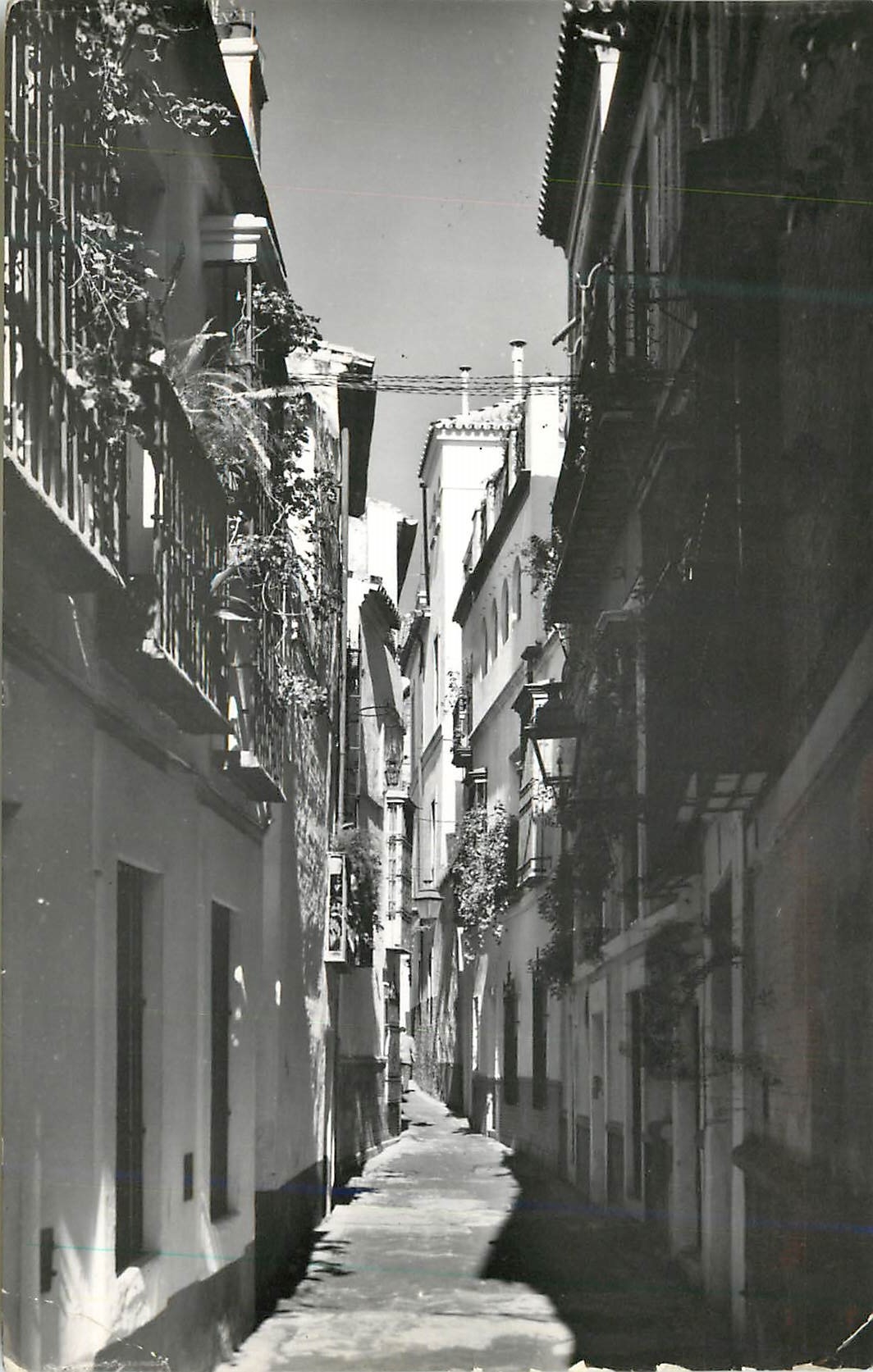 CPM Sevilla Calle de la Pimienta Barrio de Santa Cruz Rue de La Pimienta Quartier de Santa Cruz Dominguez Madrid Foto J 