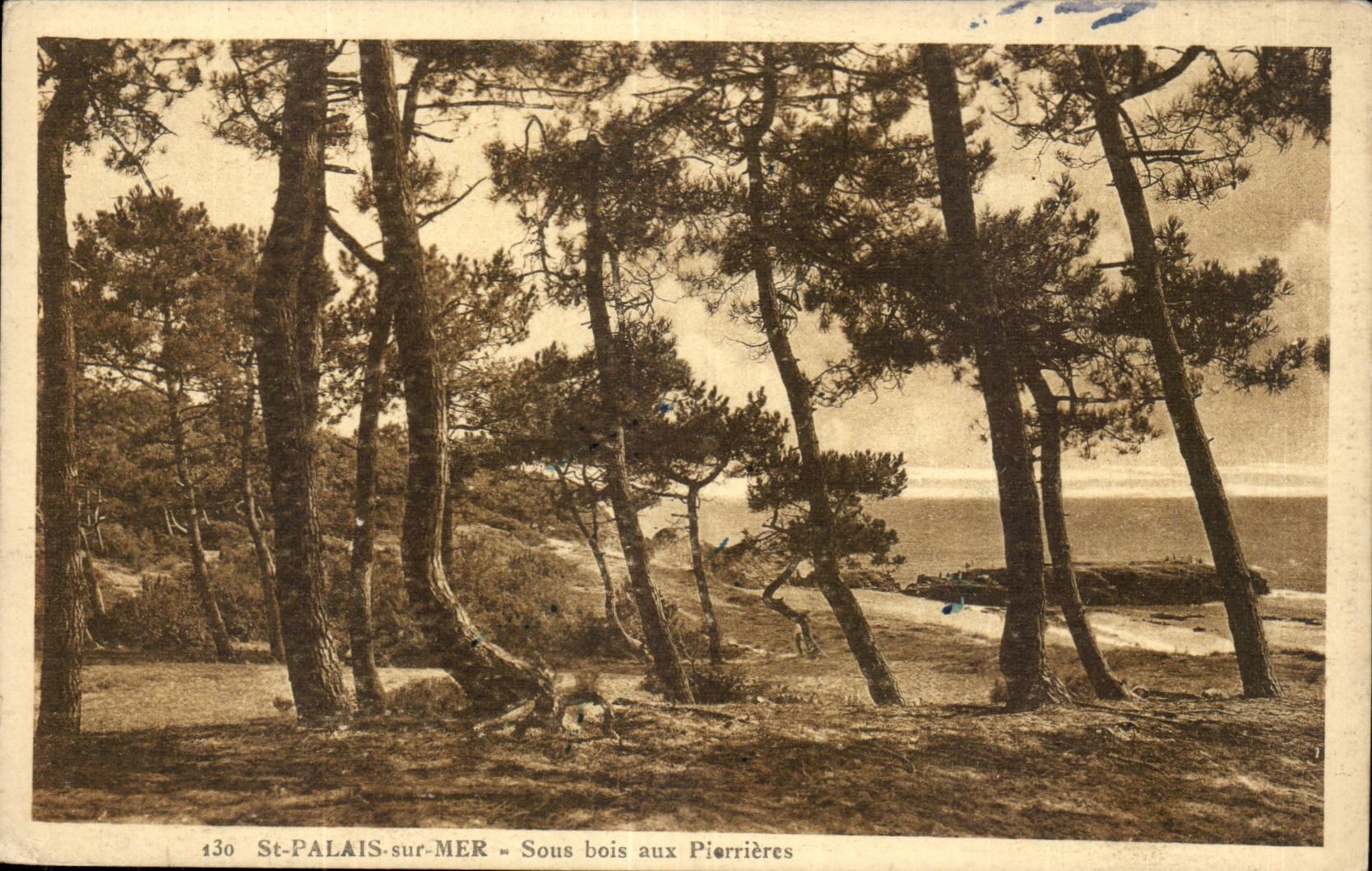 St-Palais-sur-Mer — Sous bois aux Pierrières — Édition Norvilliers Galeries, Royan