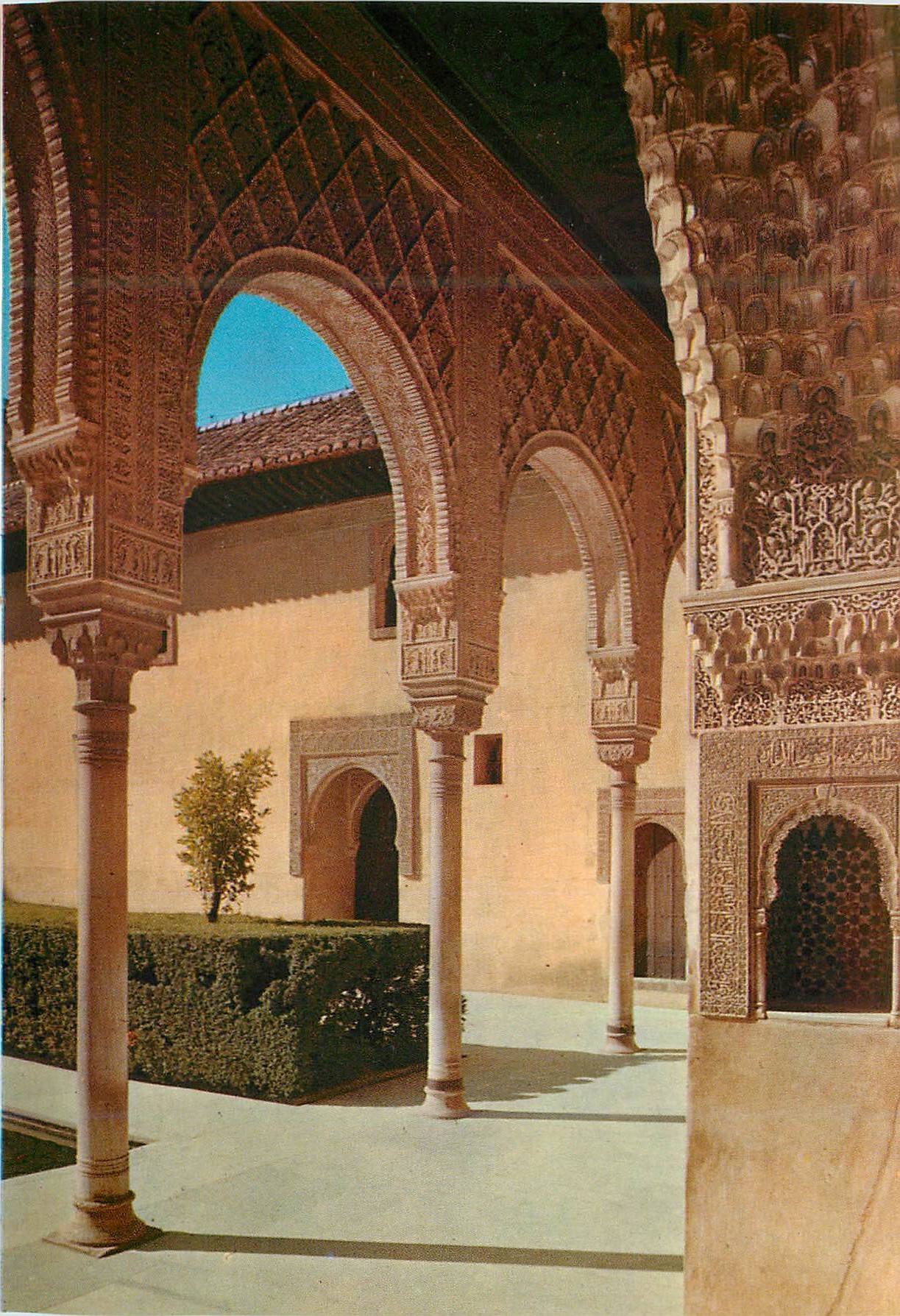 CPM Granada Alhambra Serie Cour des Myrtes