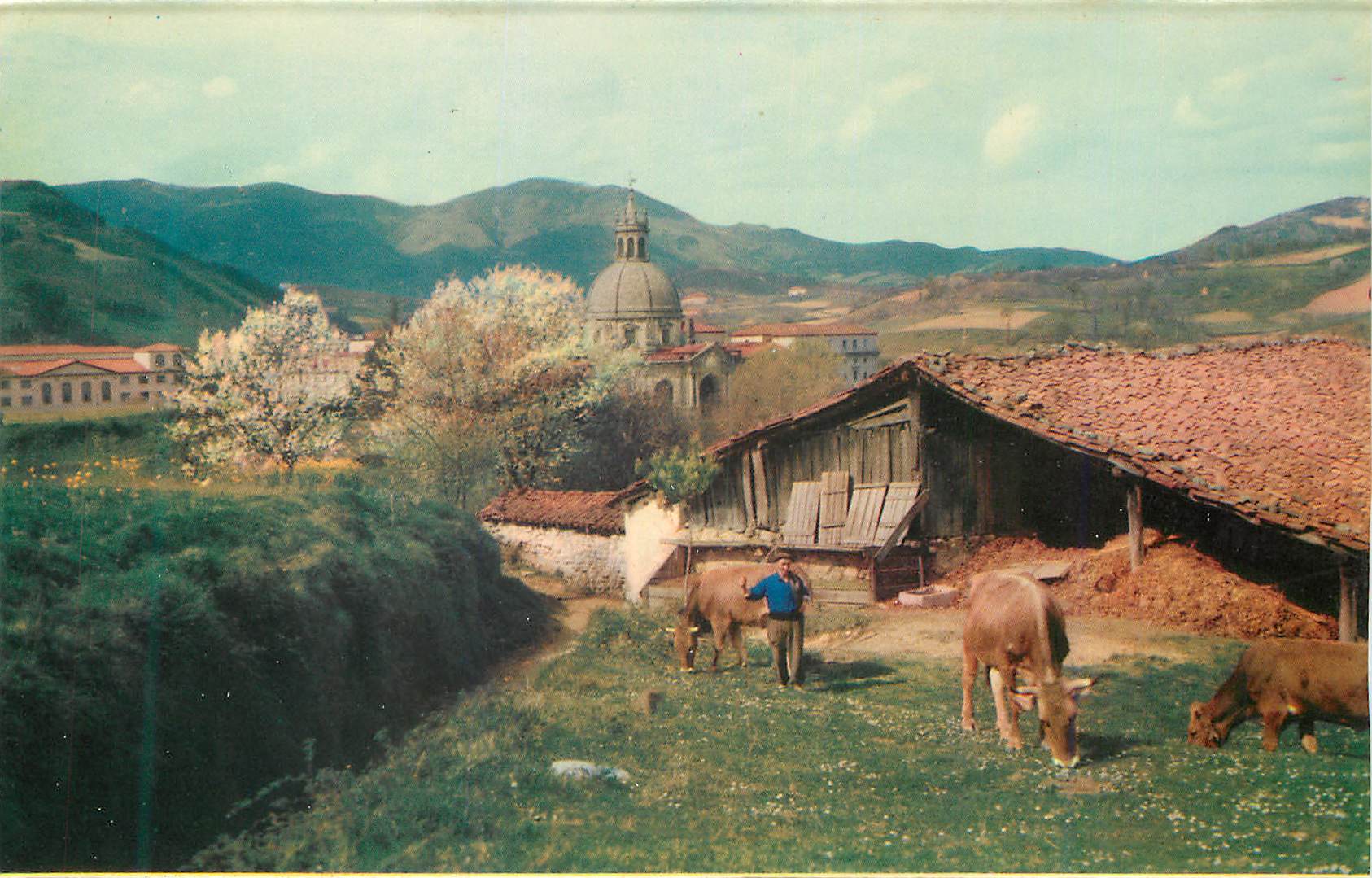 CPM Santuario de Loyola Vue partielle Vaches