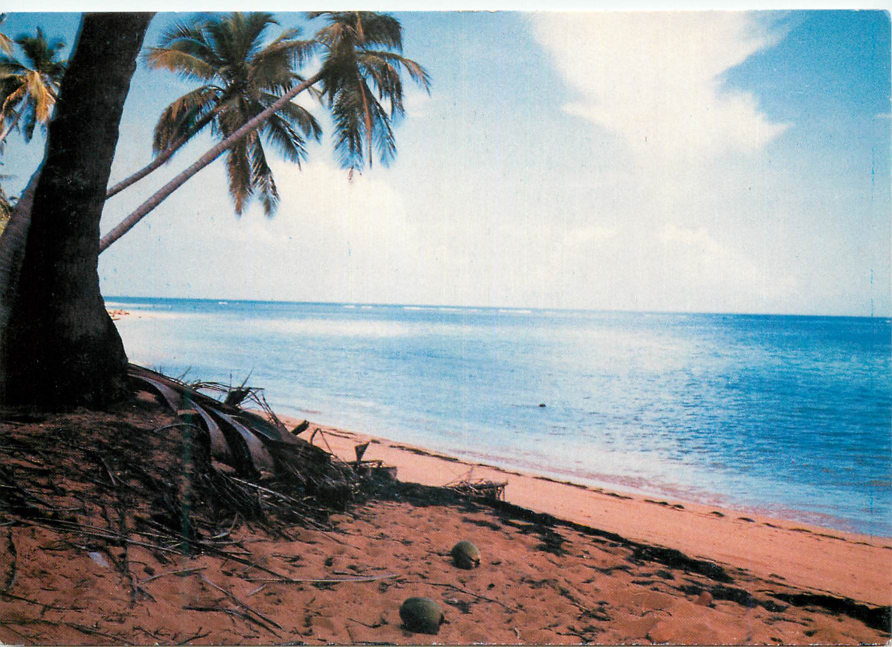 CPM Playa de las Terrenas Prov Samana Isla de Santo Domingo