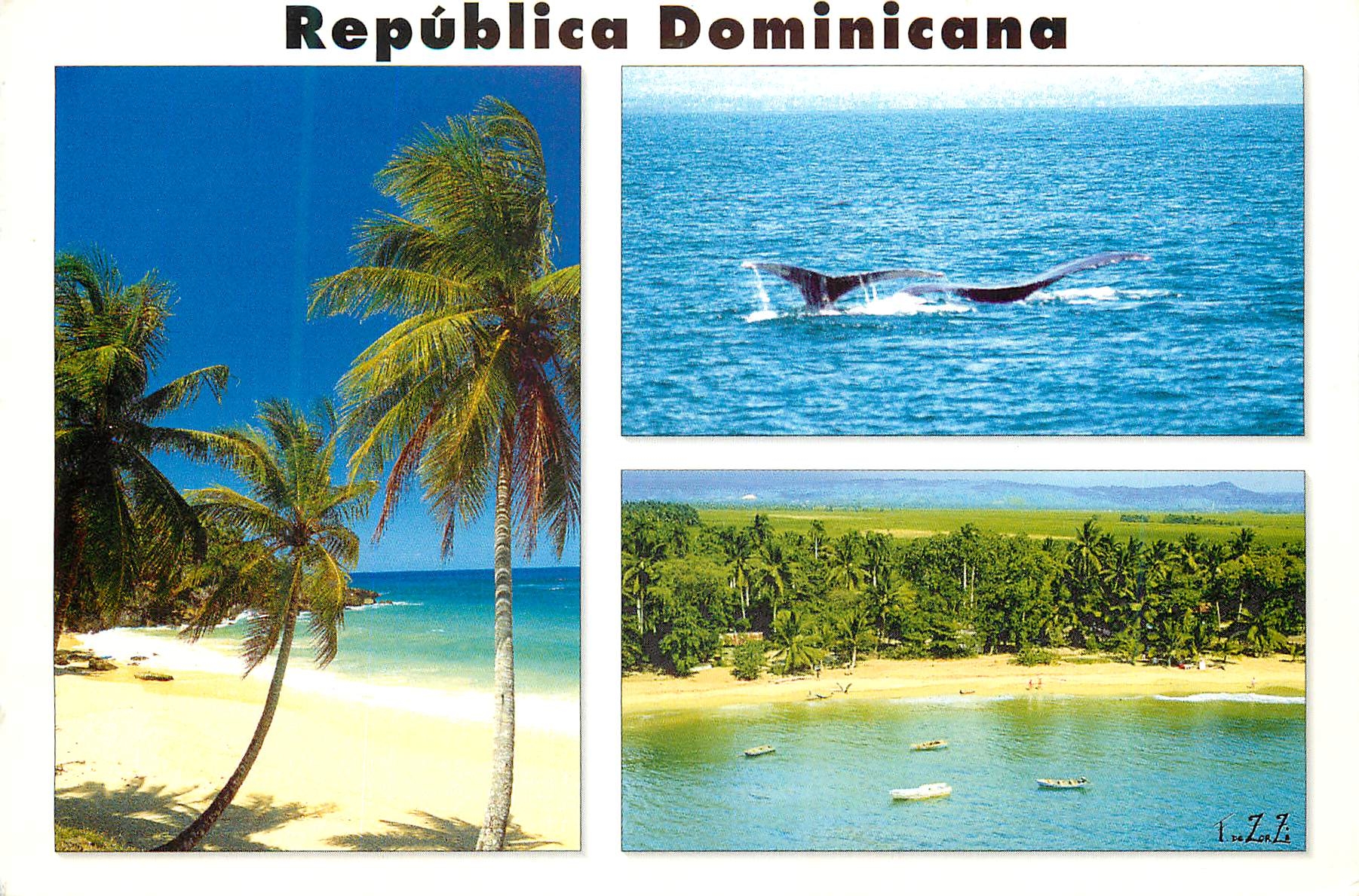 CPM Costa Norte Republica Dominicana Baleine