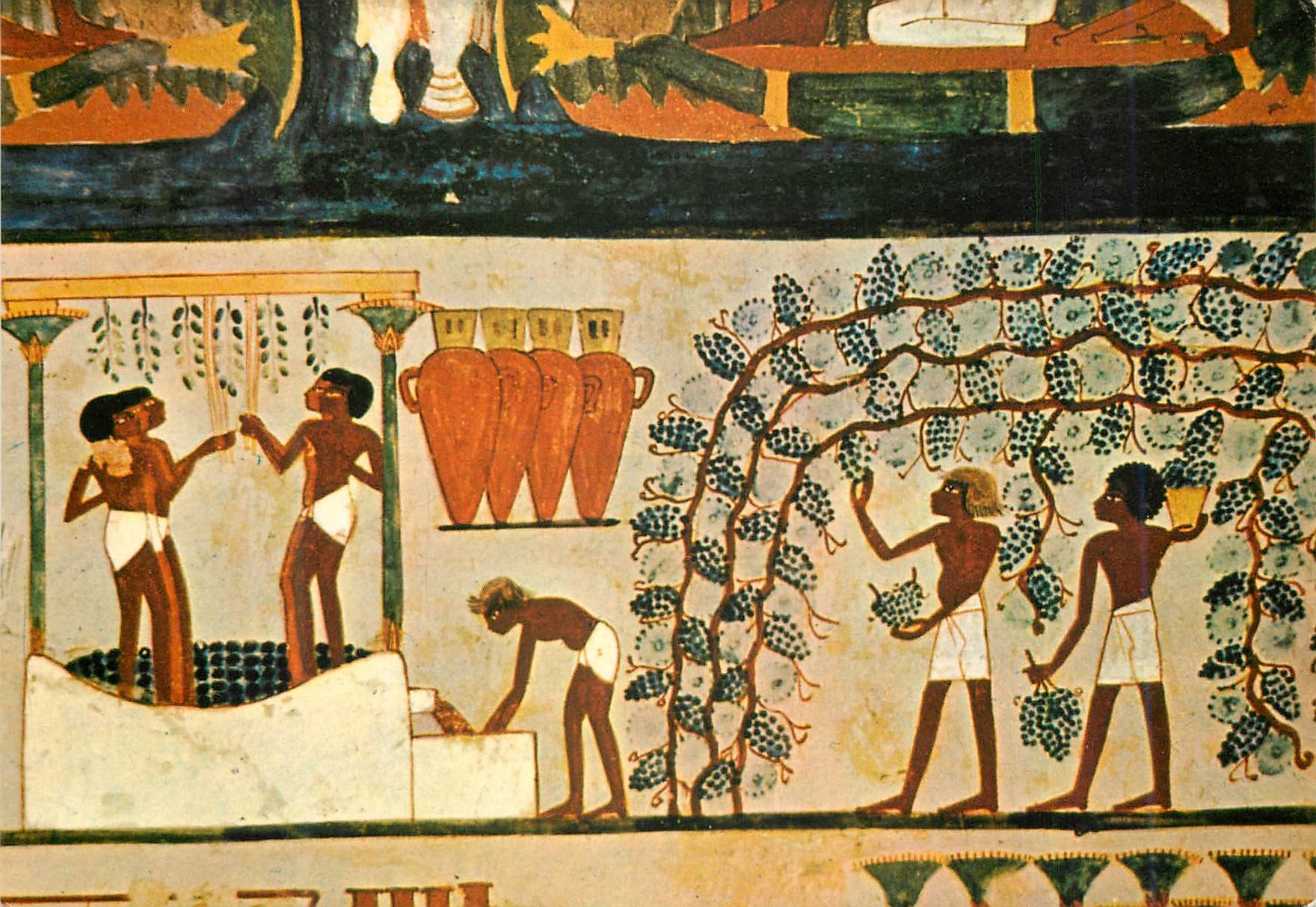 CPM Tomb of the Noble Nakht Gathering and treading grapes
