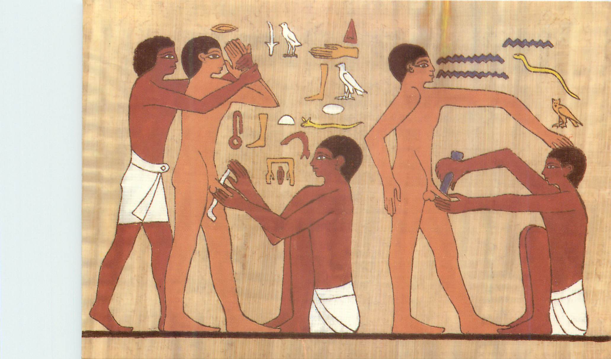 CPM Scene circumscission from the tomb of Ankh mahor