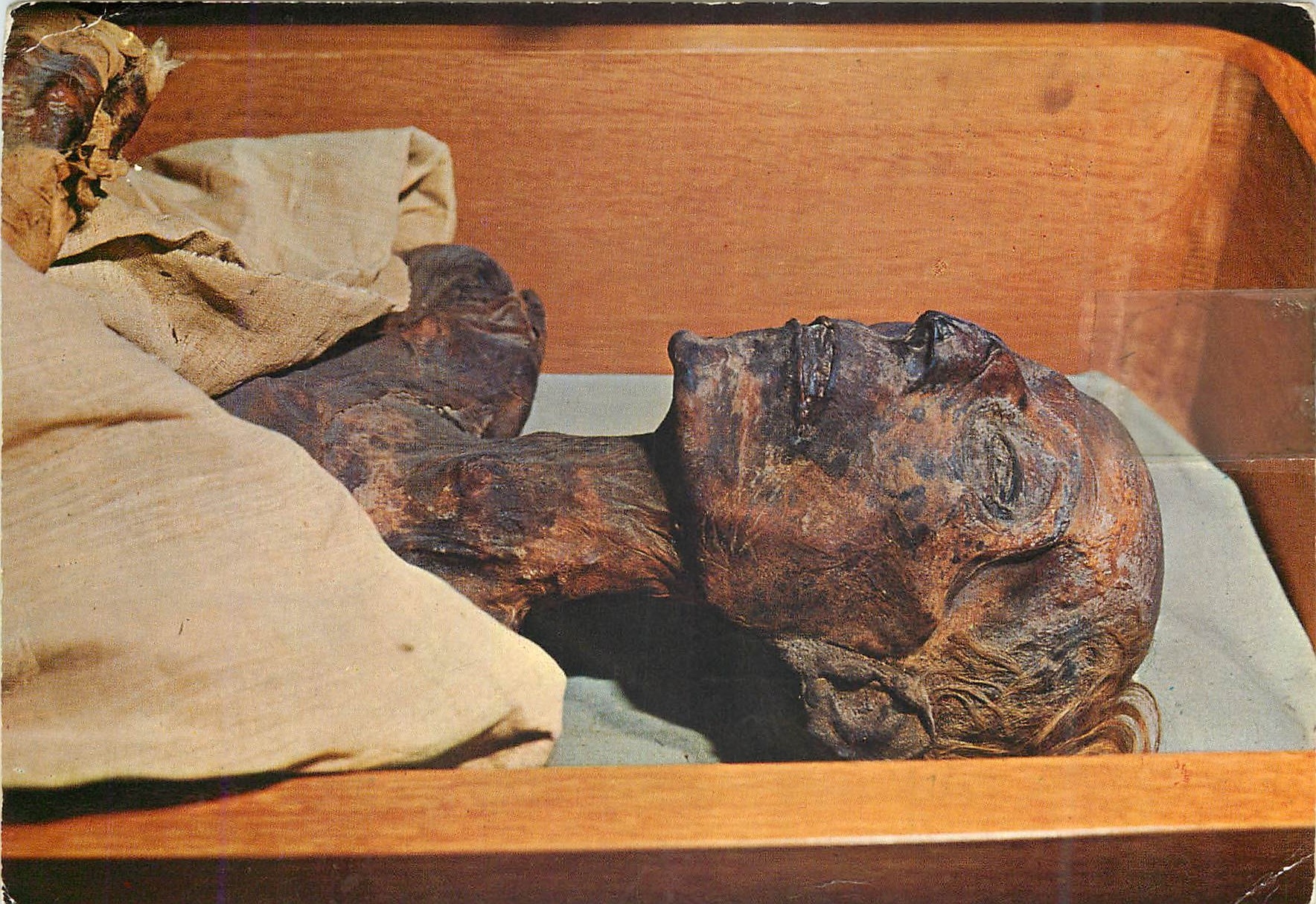 CPM Momie du roi Ramses ii xixe dynastie