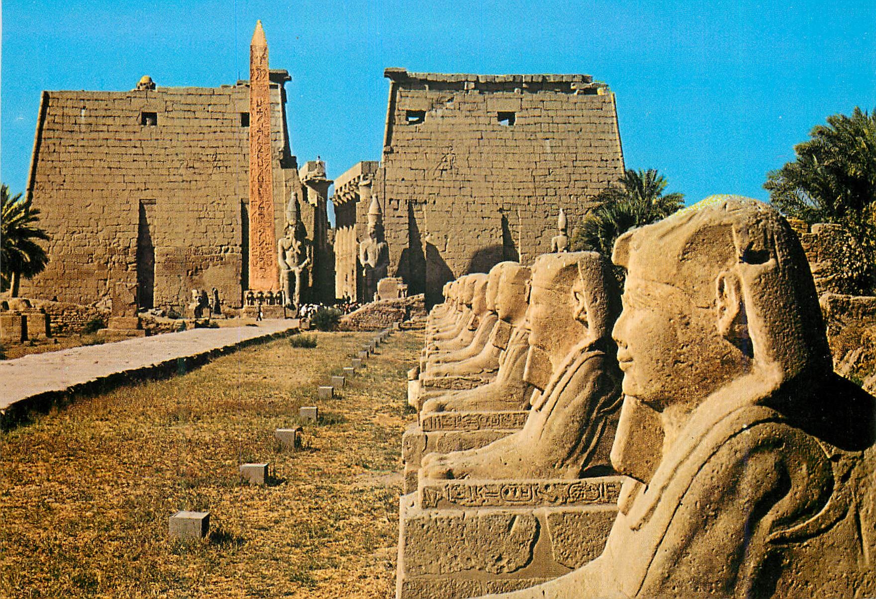 CPM Luxor Avenue des Sphinxes au Temple de Luxor