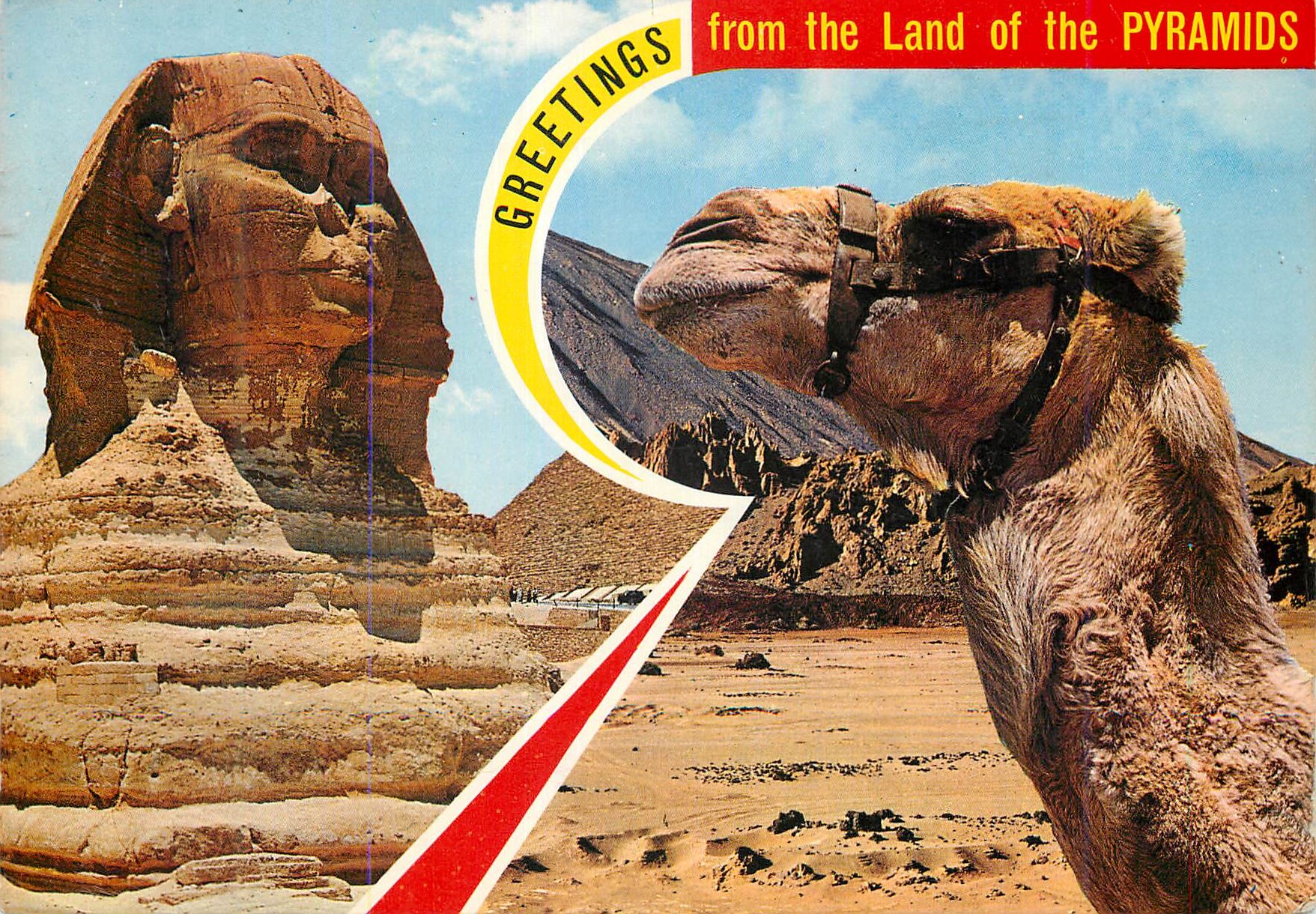 Sphinx et chameau — Land of the PYRAMIDS — K. Lambelet & Co., Cairo, No. 303