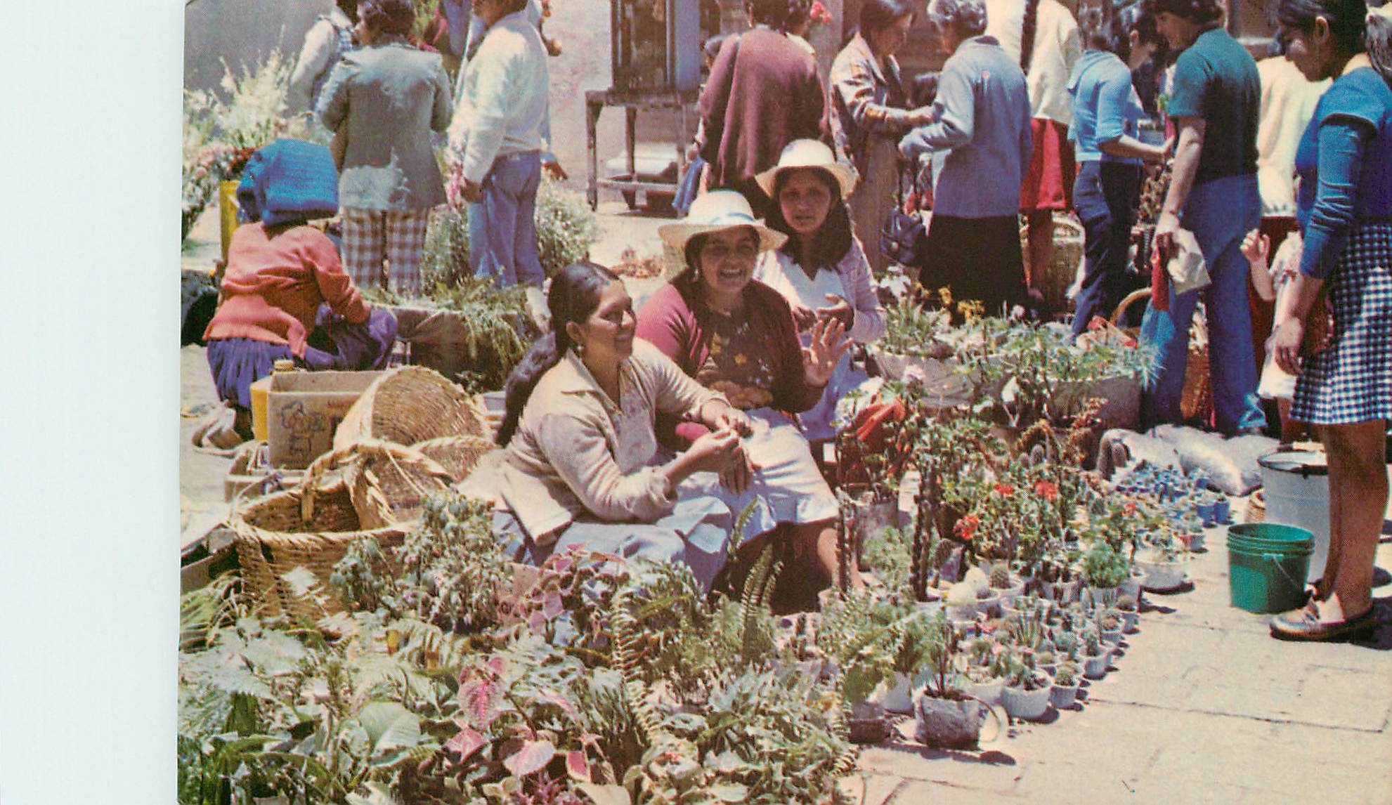 CPM Ecuador Market of plants and flowers at the Carmen plazuela la Cuenca city