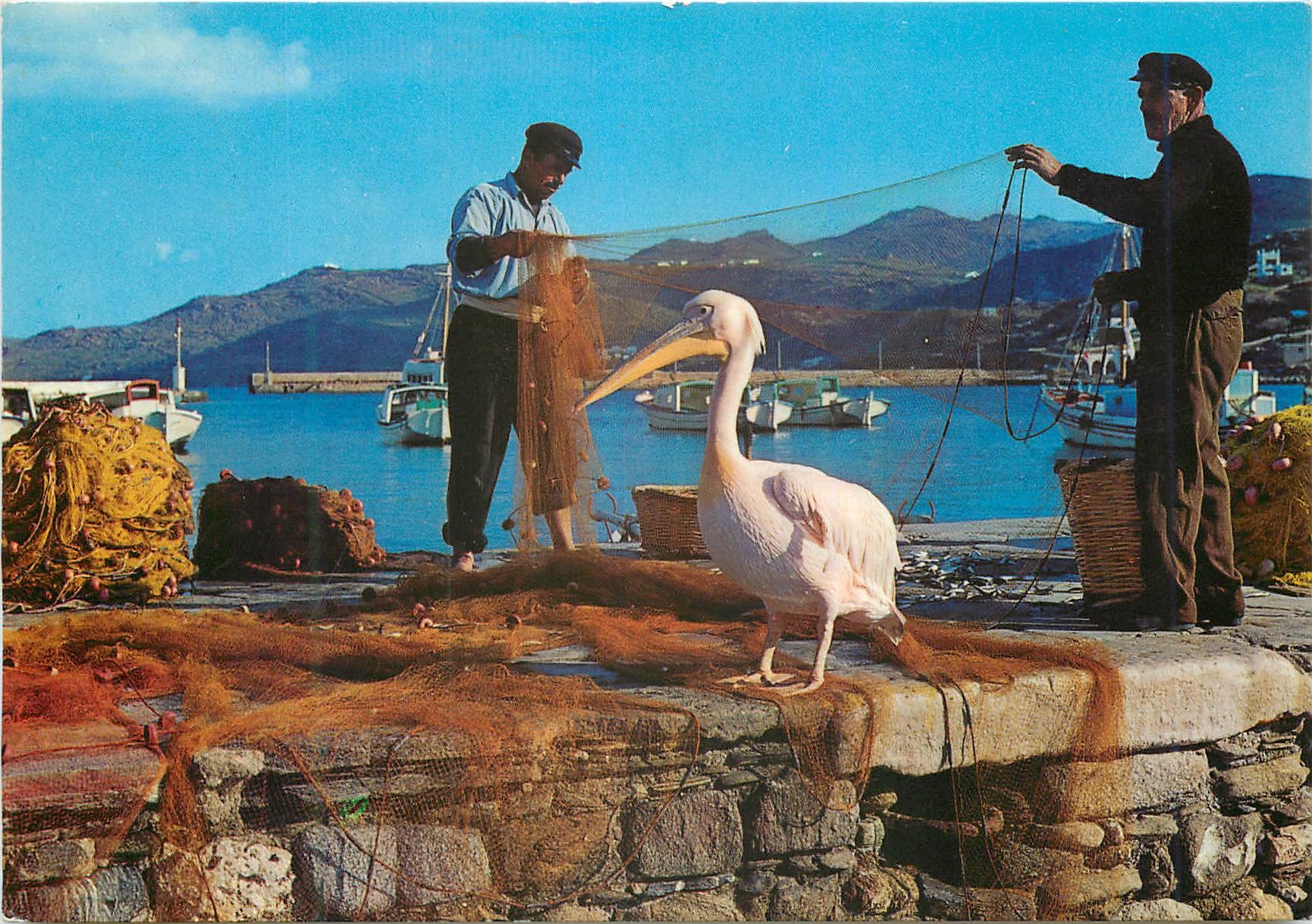 CPM Mykonos At the port with the pelican Petro