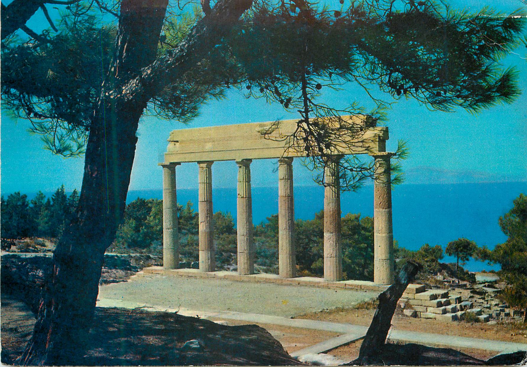 CPM Rhodes Camiros Part of the Stea