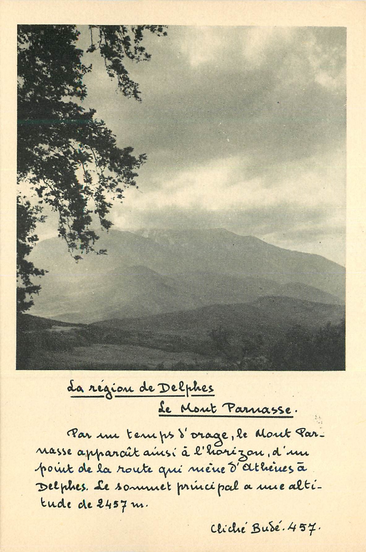 CPM La region de Delphes Le Mont Parnasse