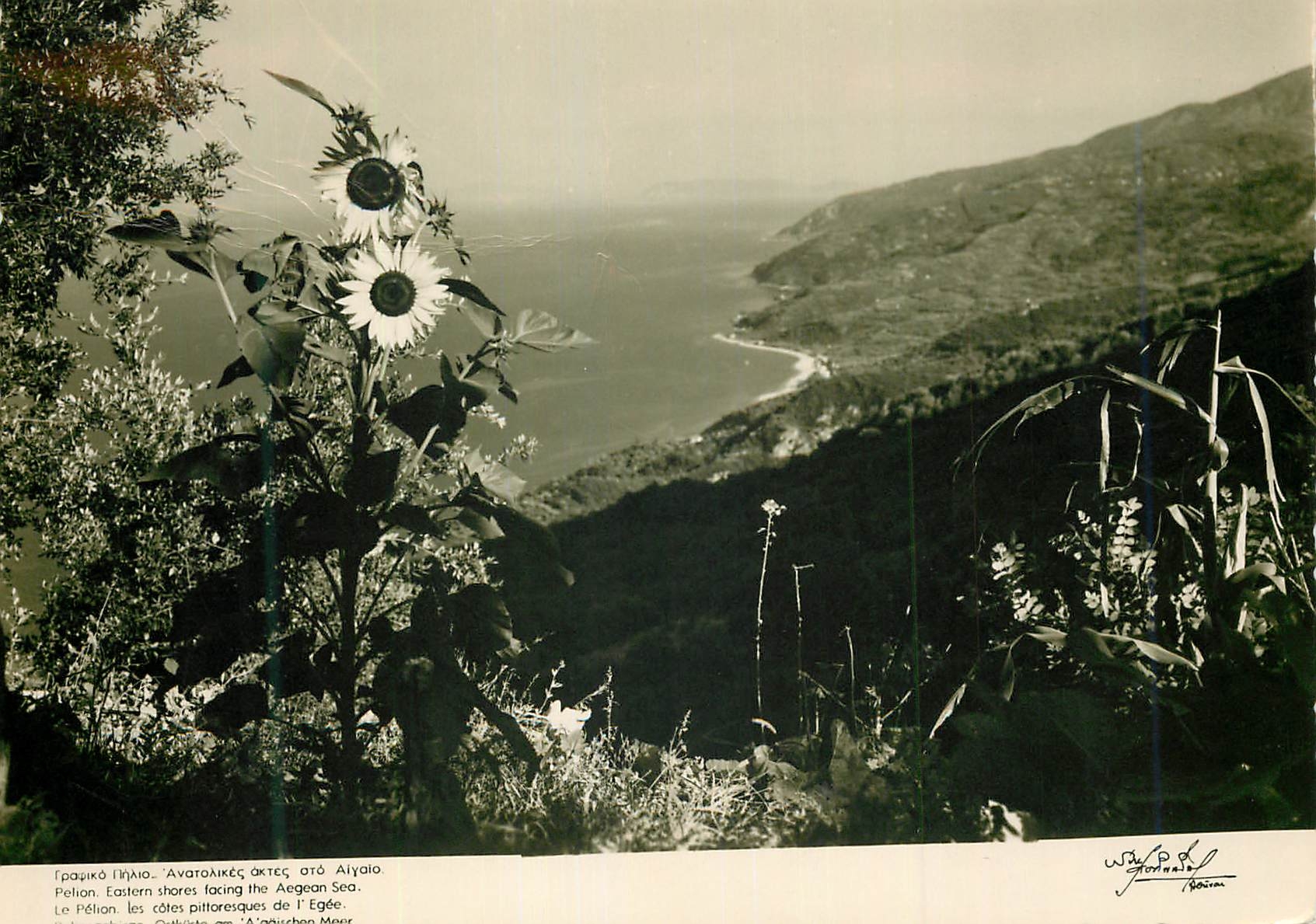CPM Le Pelion les coles pittoresques de l Eglise