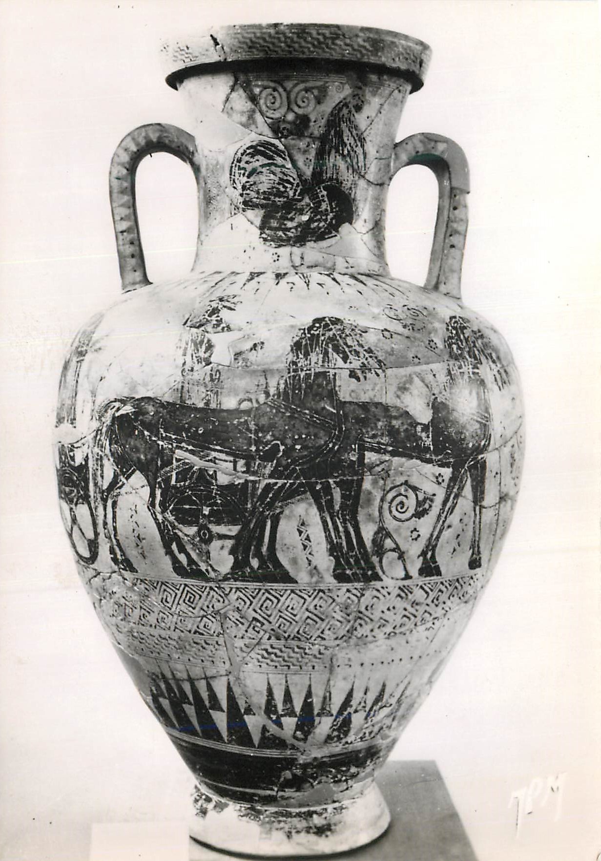 CPM Athenes Musee National Amphore de Piree Cette amphore attique a figures noires fut trouvee au Piree Elle represente 