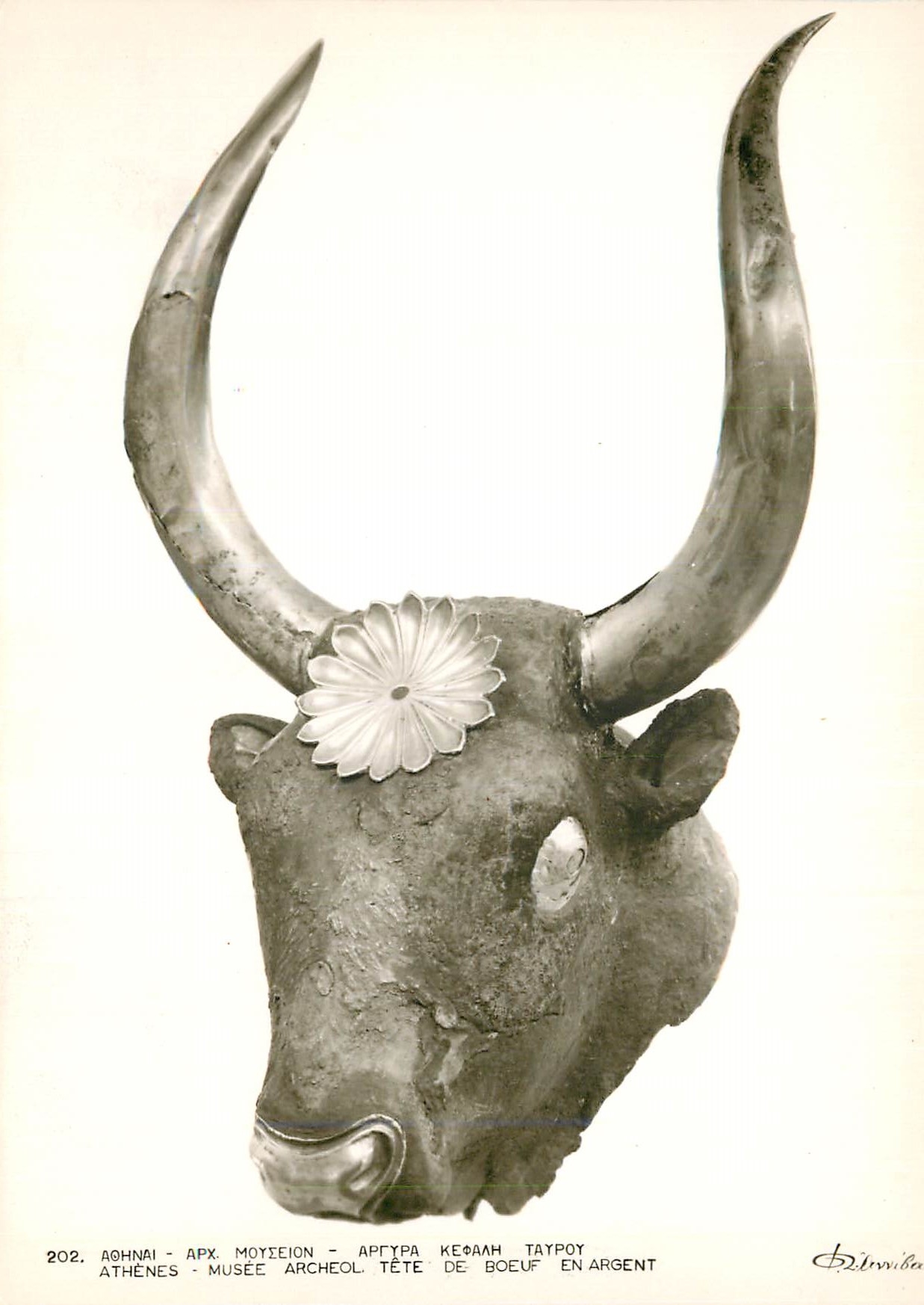 CPM Athenes Musee Archeol Tete de Boeuf En Argent