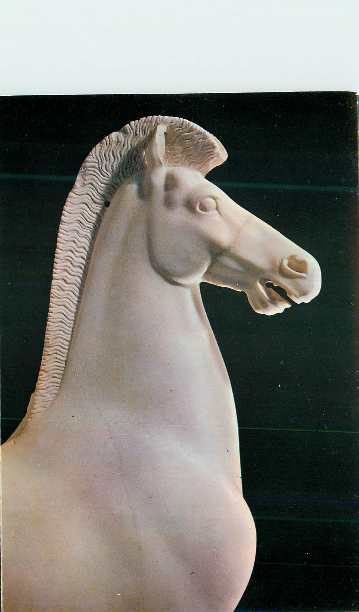 CPM Athenes Musee de l Acropole Avant corps de cheval No Environ av Jc