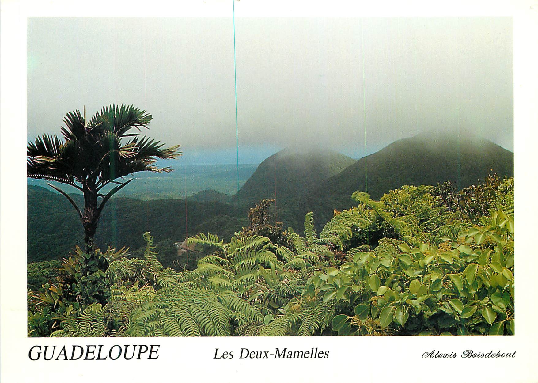 CPM Guadeloupe Les Deux Mamelles La Guadeloupe Montagnes de la Basse Terre