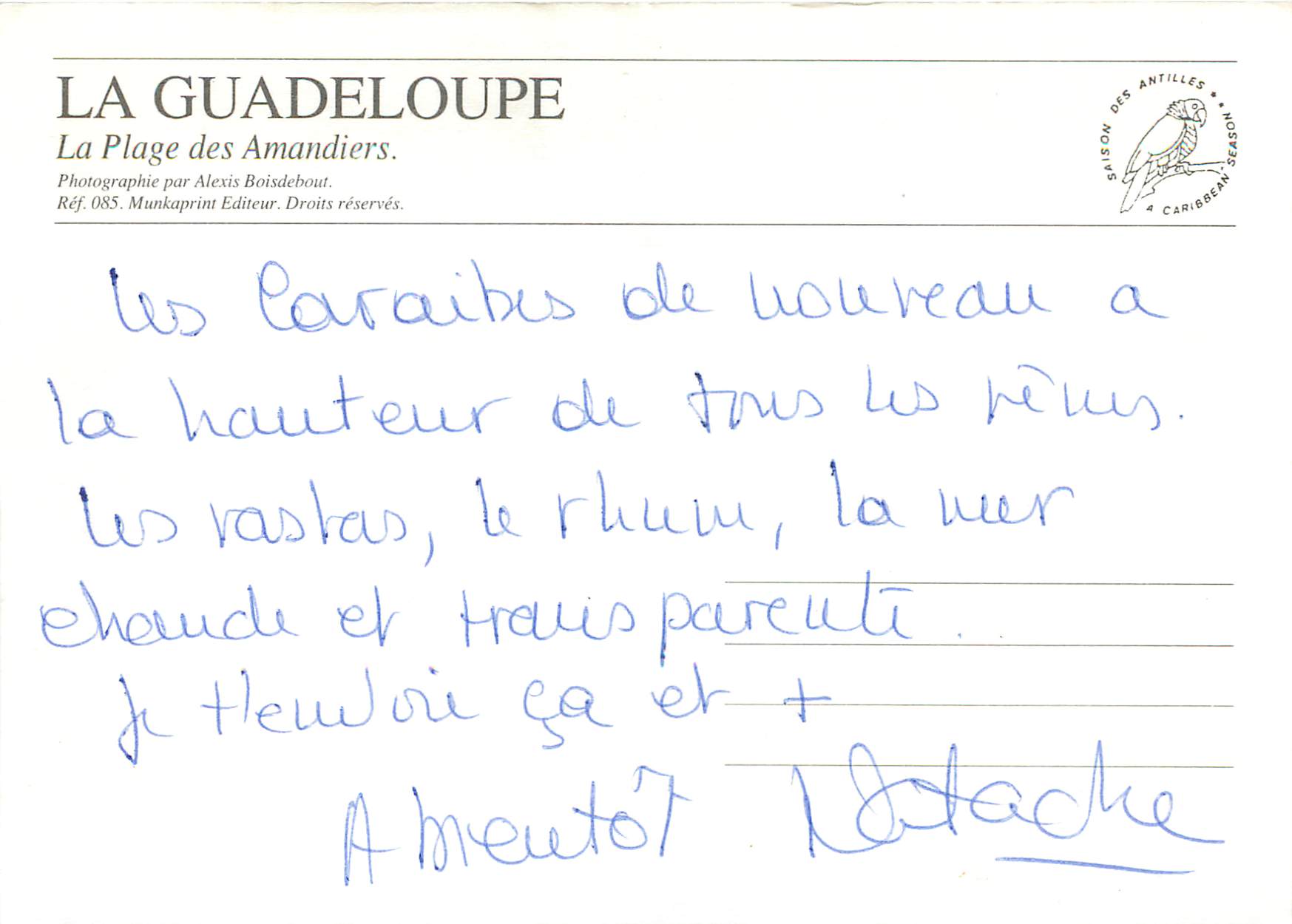 CPM Guadeloupe Sainte Rose La Guadeloupe La Plage des Amandiers — Rückseite