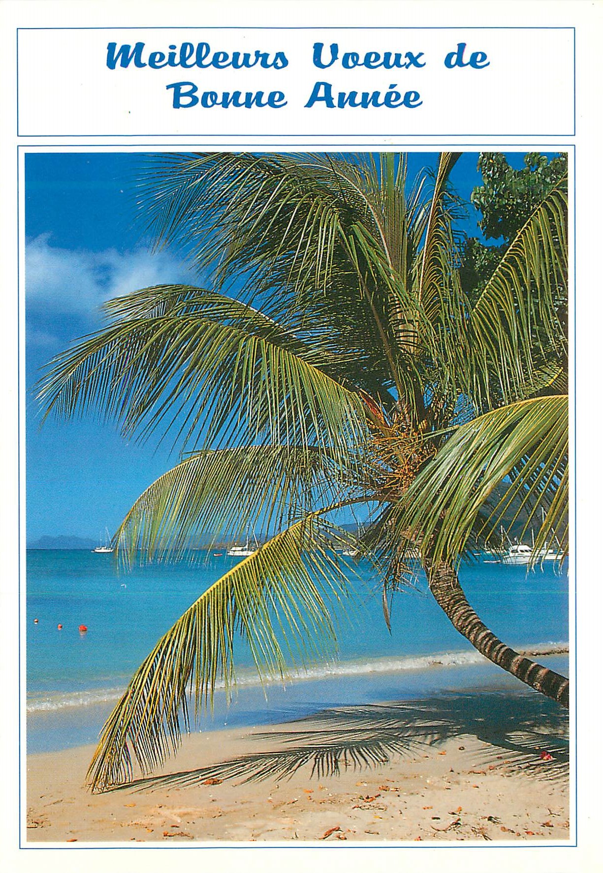 CPM Meilleurs Voeux de Bonne Annee Images des Antilles