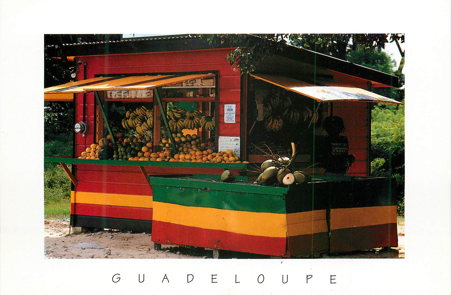 CPM Guadeloupe Antilles Lolo sur la plage