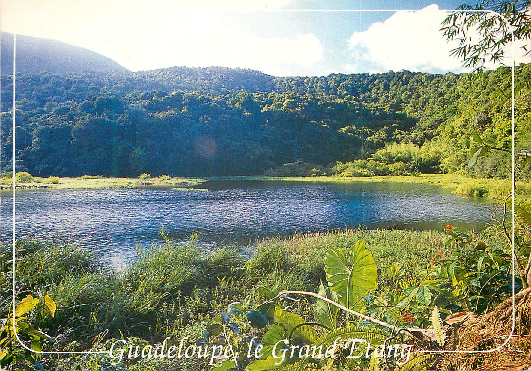 Guadeloupe, le Grand Étang — Images des Antilles, n° G 015