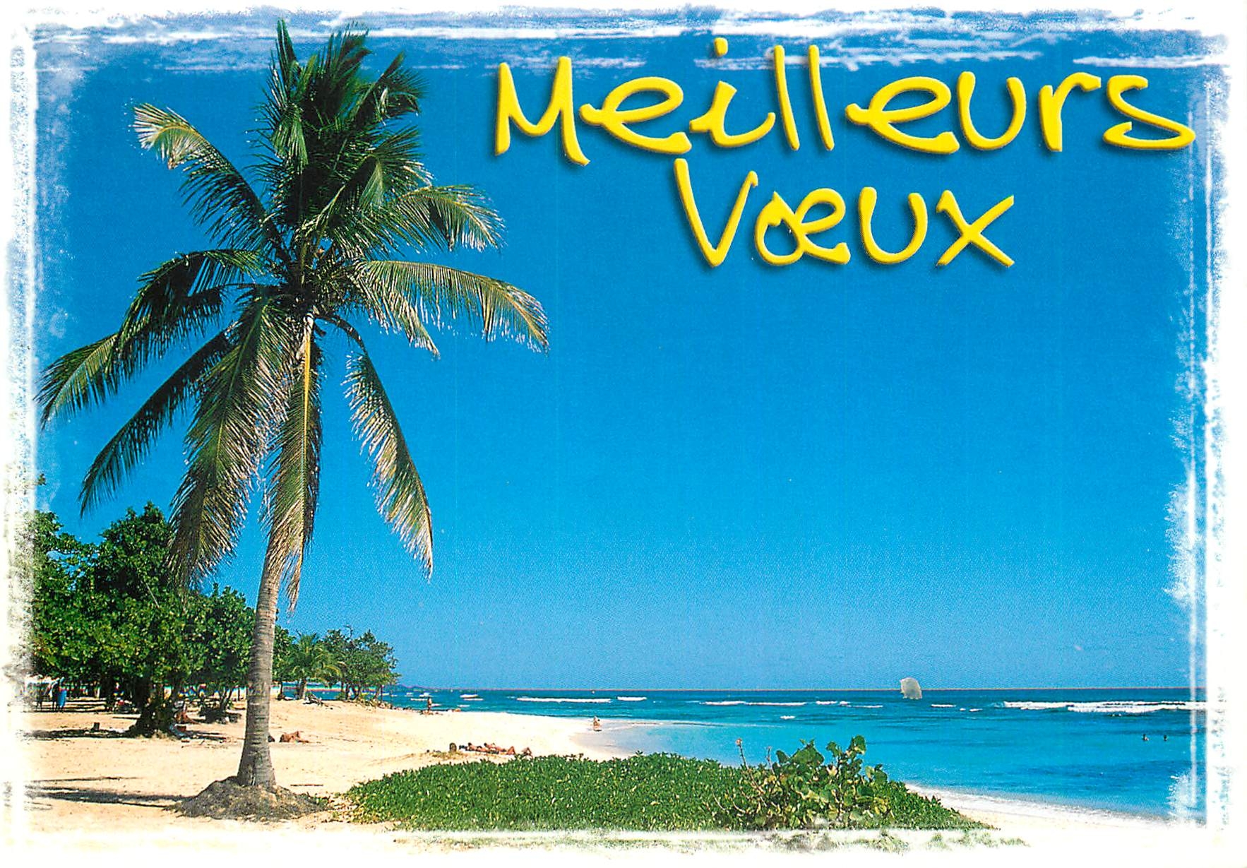 CPM Meilleurs Voeux de Bonne Annee