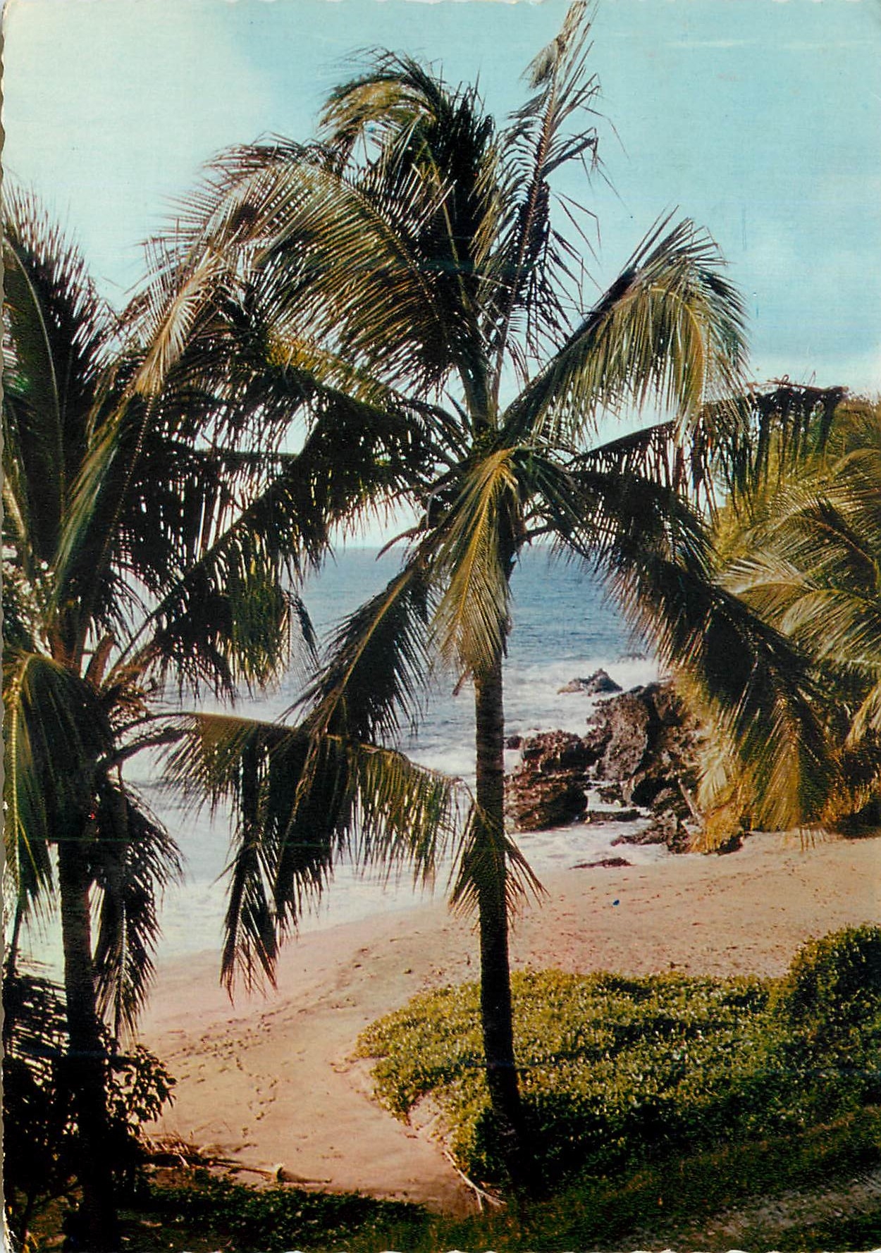CPM Guadeloupe Plage de Ferry