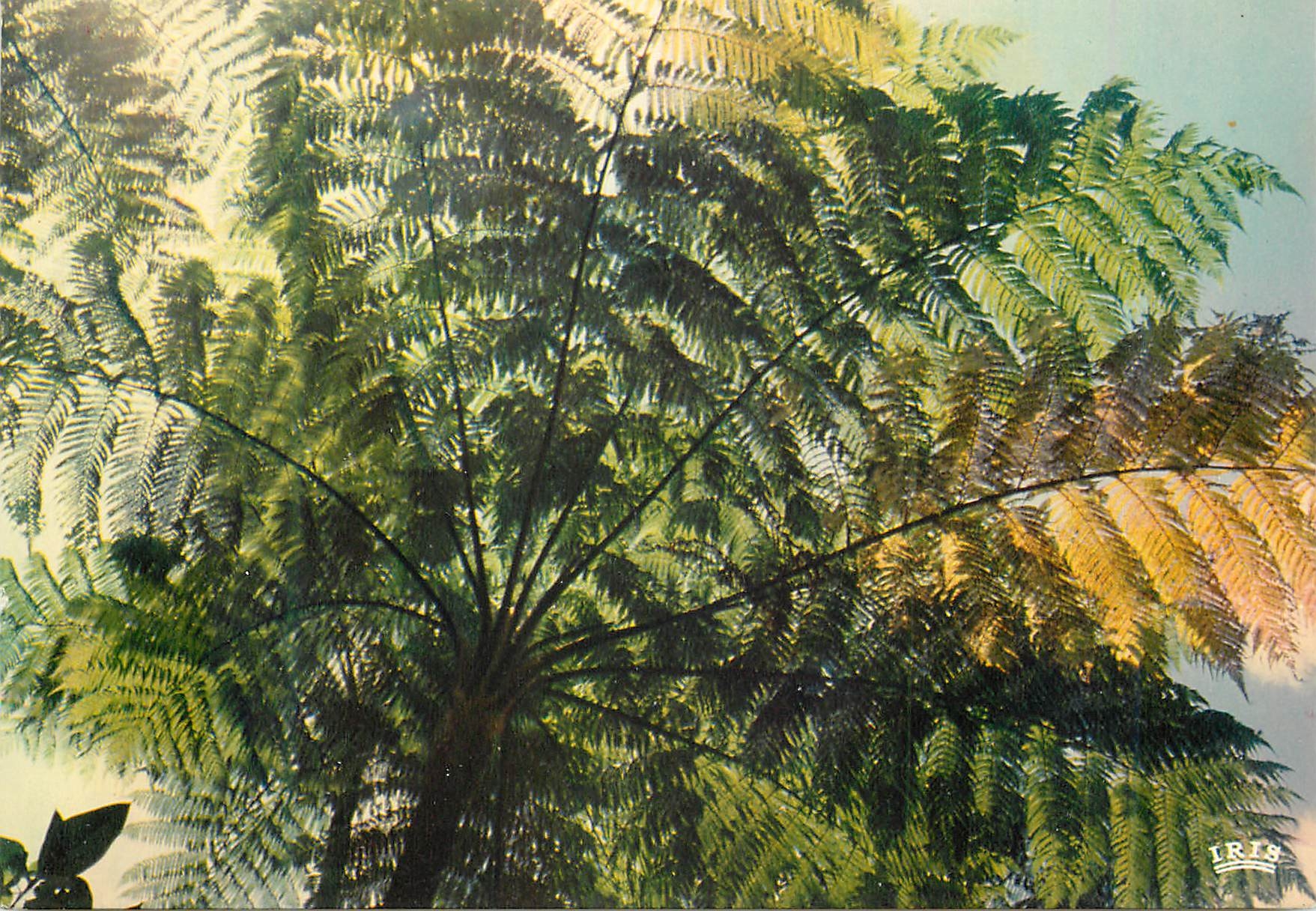 CPM Guadeloupe Reserve du Parc Naturel