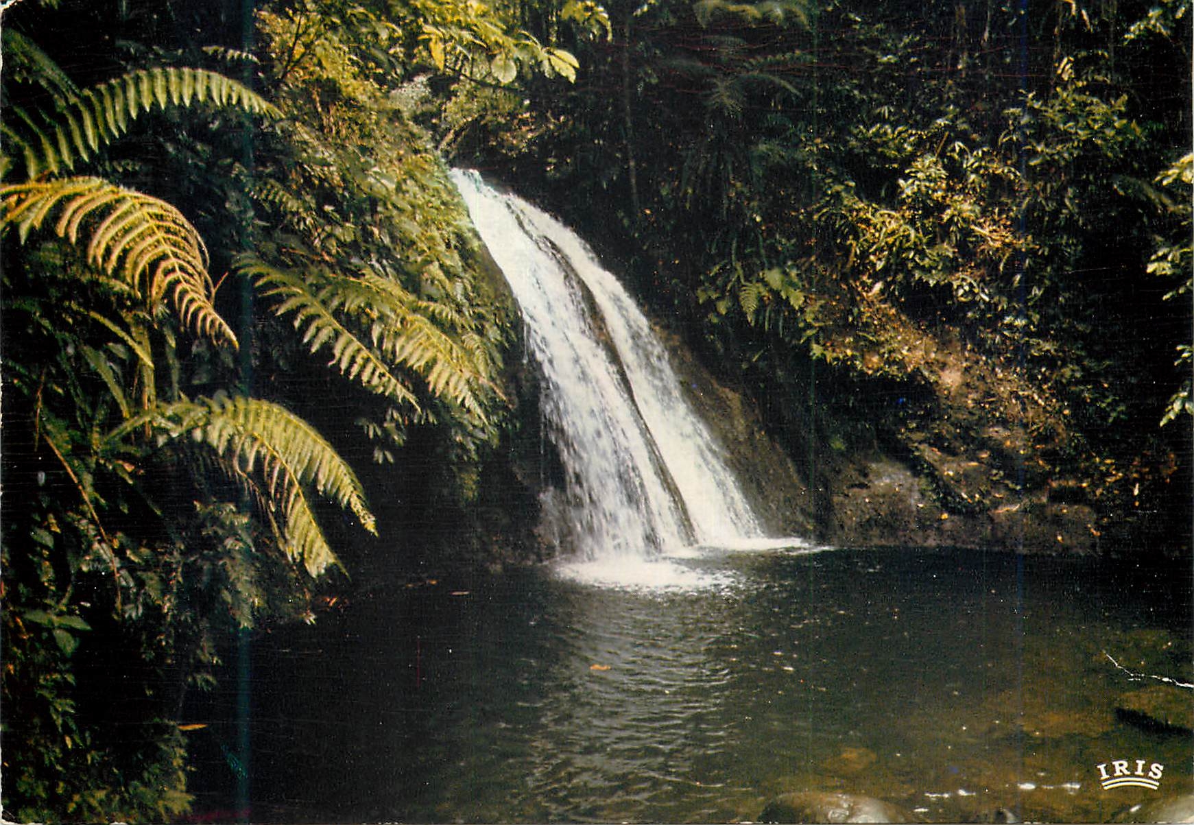 CPM Guadeloupe Reserve naturelle vers la riviere aux ecrevisses