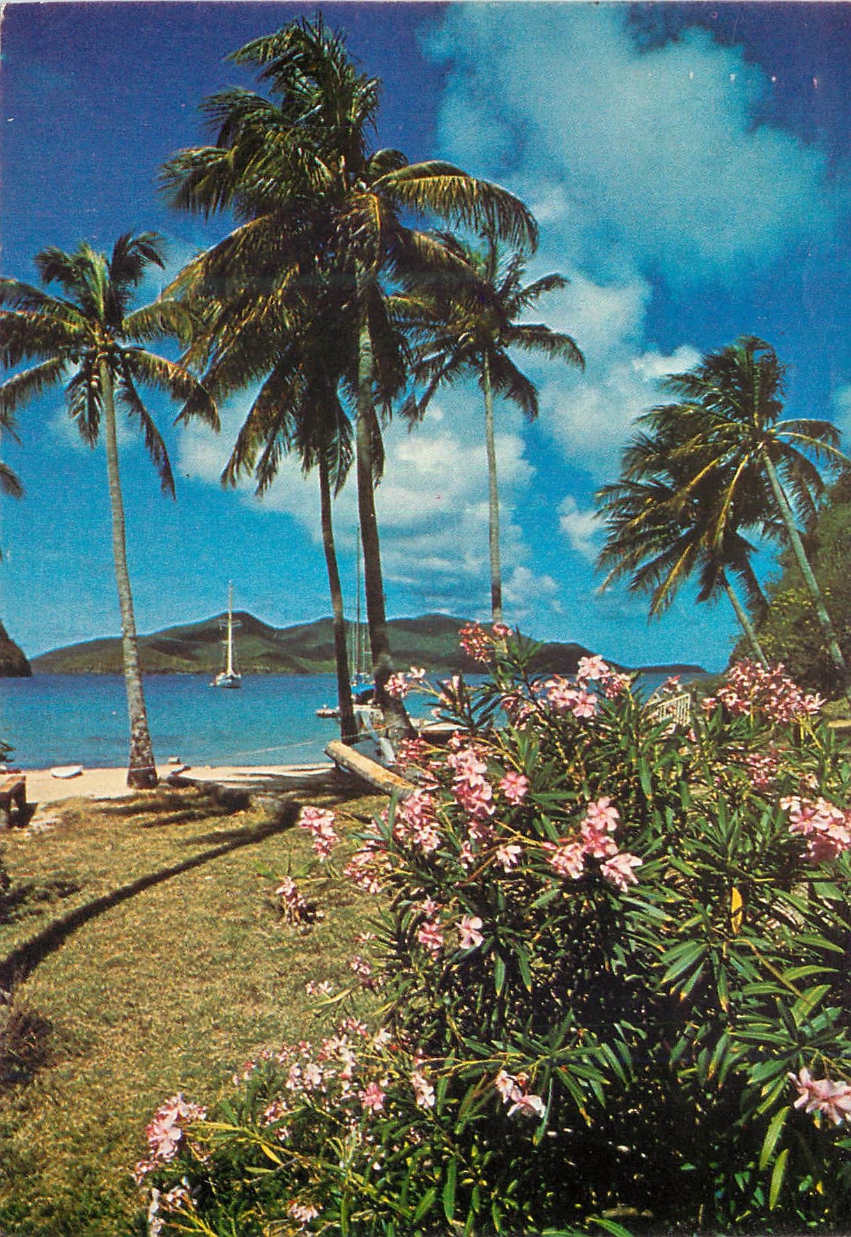 CPM Plage du Pain de Sucre ile des Saintes Guadeloupe